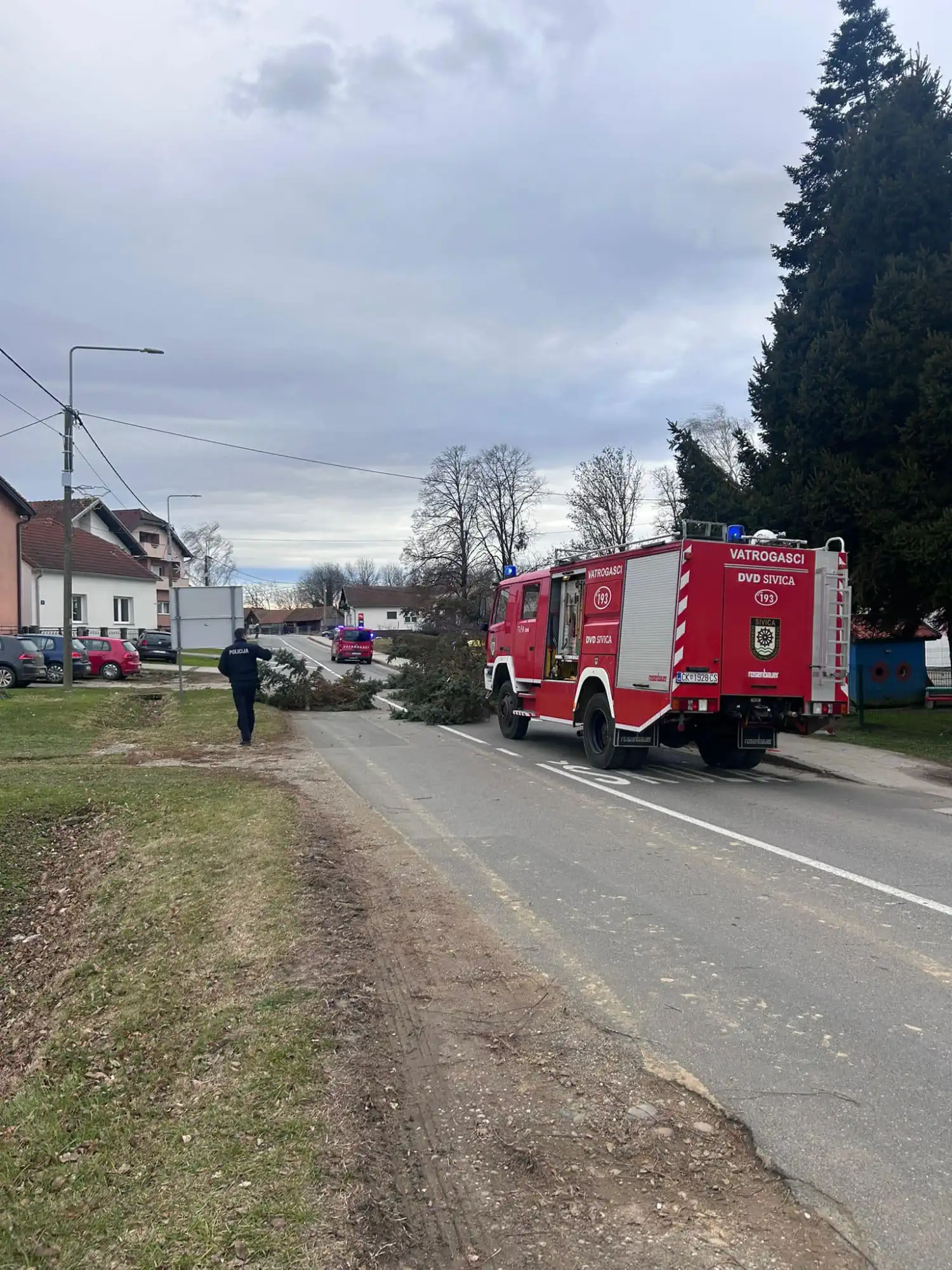 Vjetar u Sivici srušio drvo (3) Vjetar u Sivici srušio drvo (3)