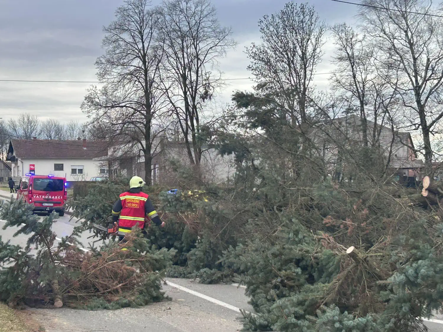 Vjetar u Sivici srušio drvo (5) Vjetar u Sivici srušio drvo (5)
