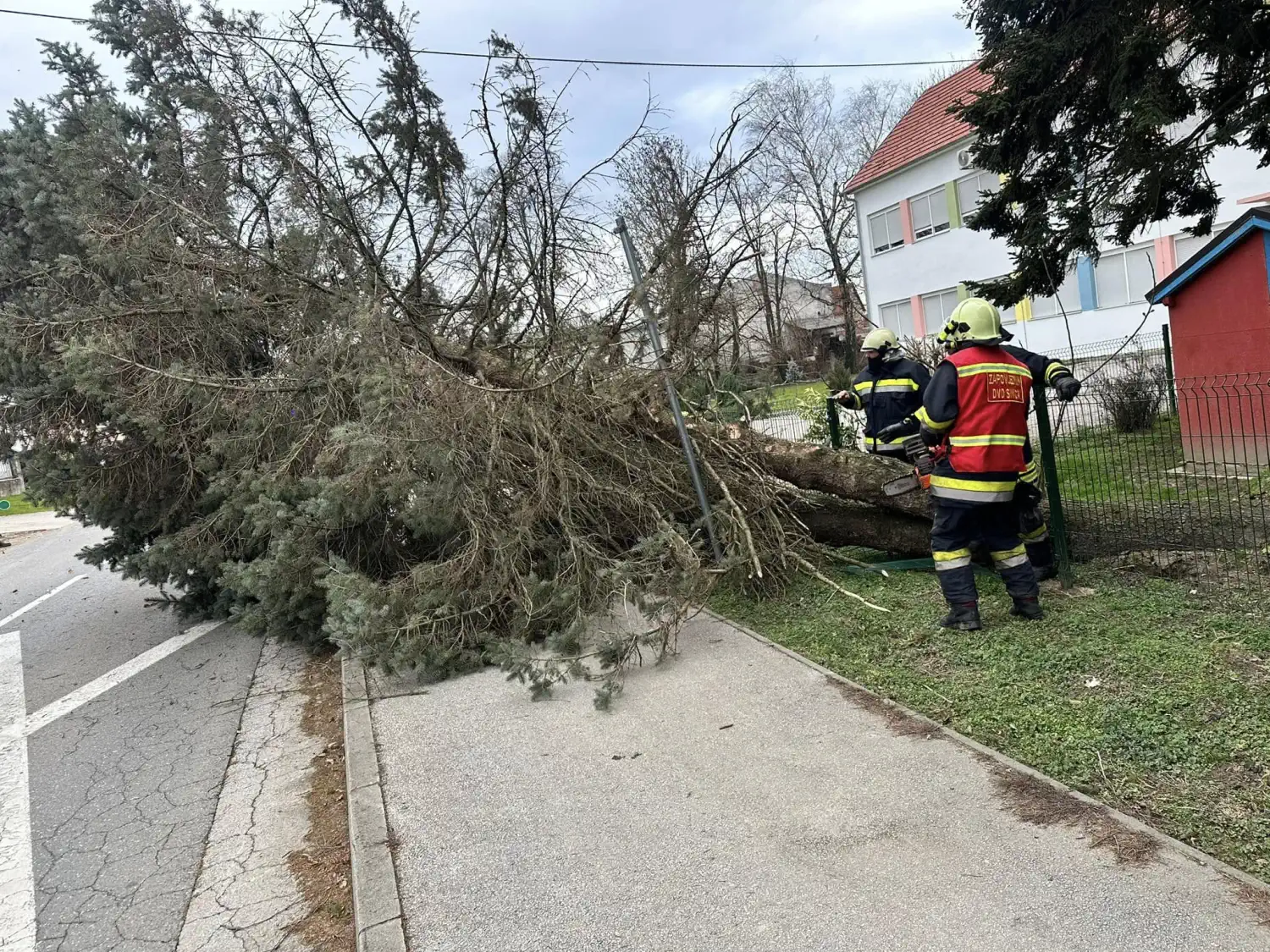 Vjetar u Sivici srušio drvo (8) Vjetar u Sivici srušio drvo (8)