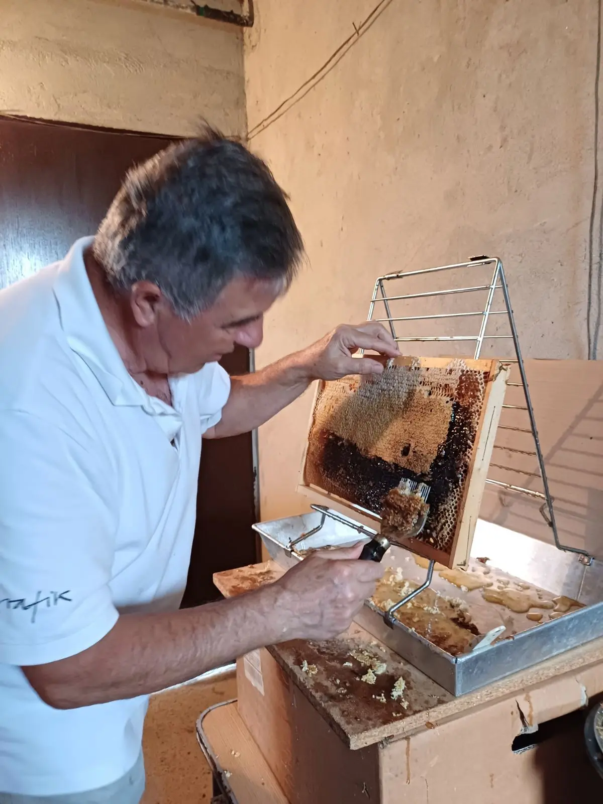 Vladimir Halić, pčelarstvo (4) Vladimir Halić, pčelarstvo (4)