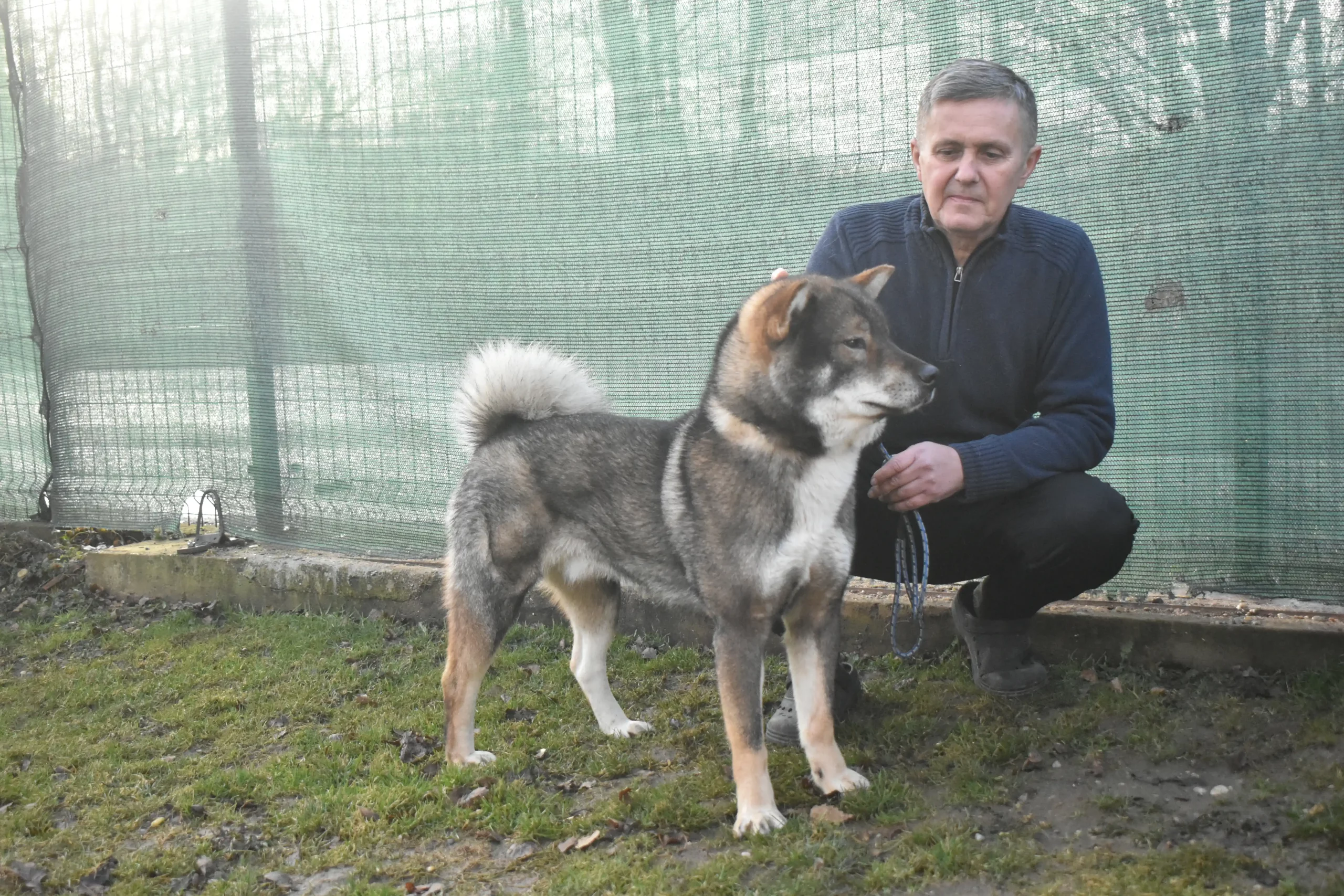 Vladimir Lenić – Shikoku Thor pasmina (2) Vladimir Lenić – Shikoku Thor pasmina (2)