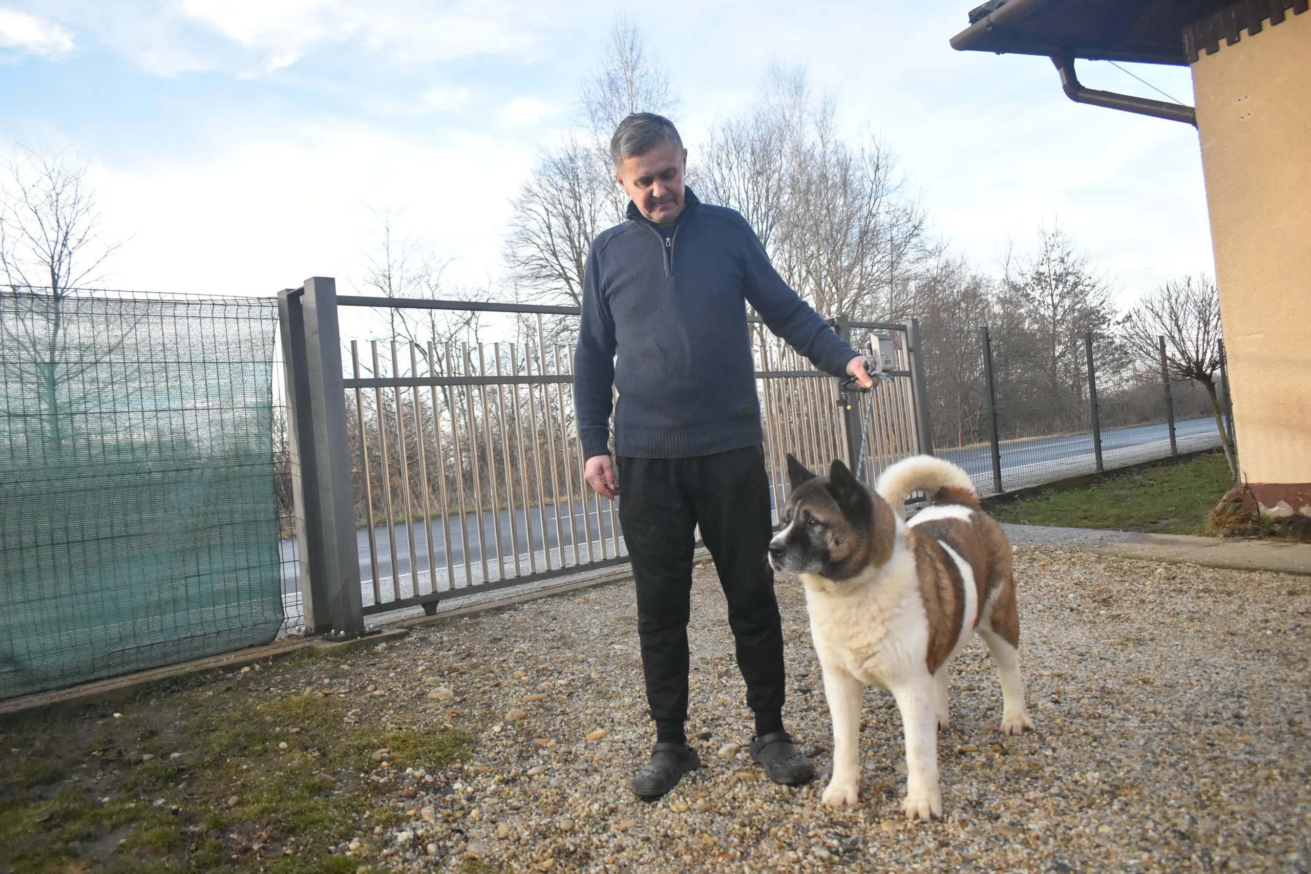 Vladimir Lenić – Shikoku Thor pasmina (5) Vladimir Lenić – Shikoku Thor pasmina (5)