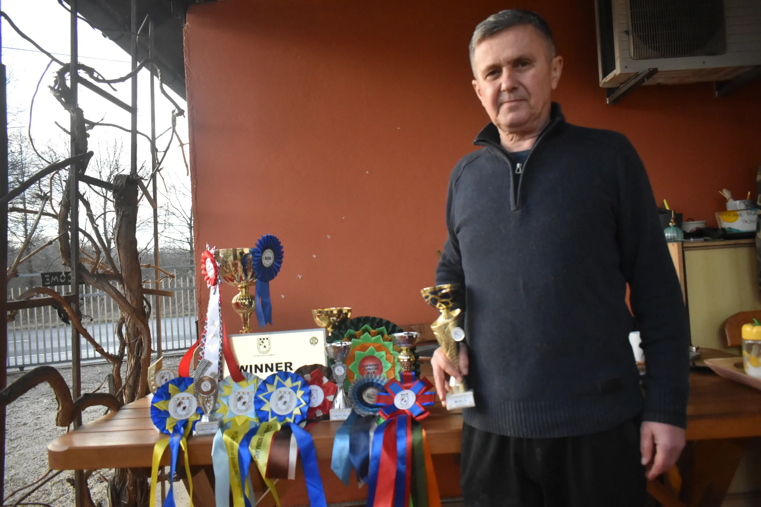 Vladimir Lenić – Shikoku Thor pasmina (6) Vladimir Lenić – Shikoku Thor pasmina (6)