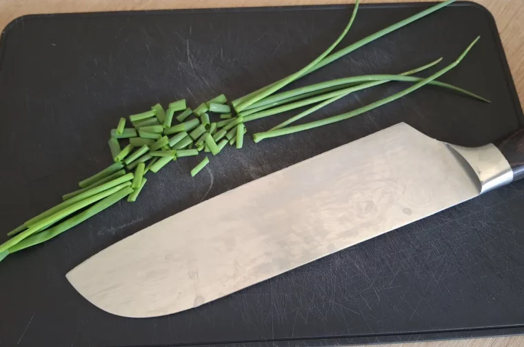 Vlasac savjet recept (6)