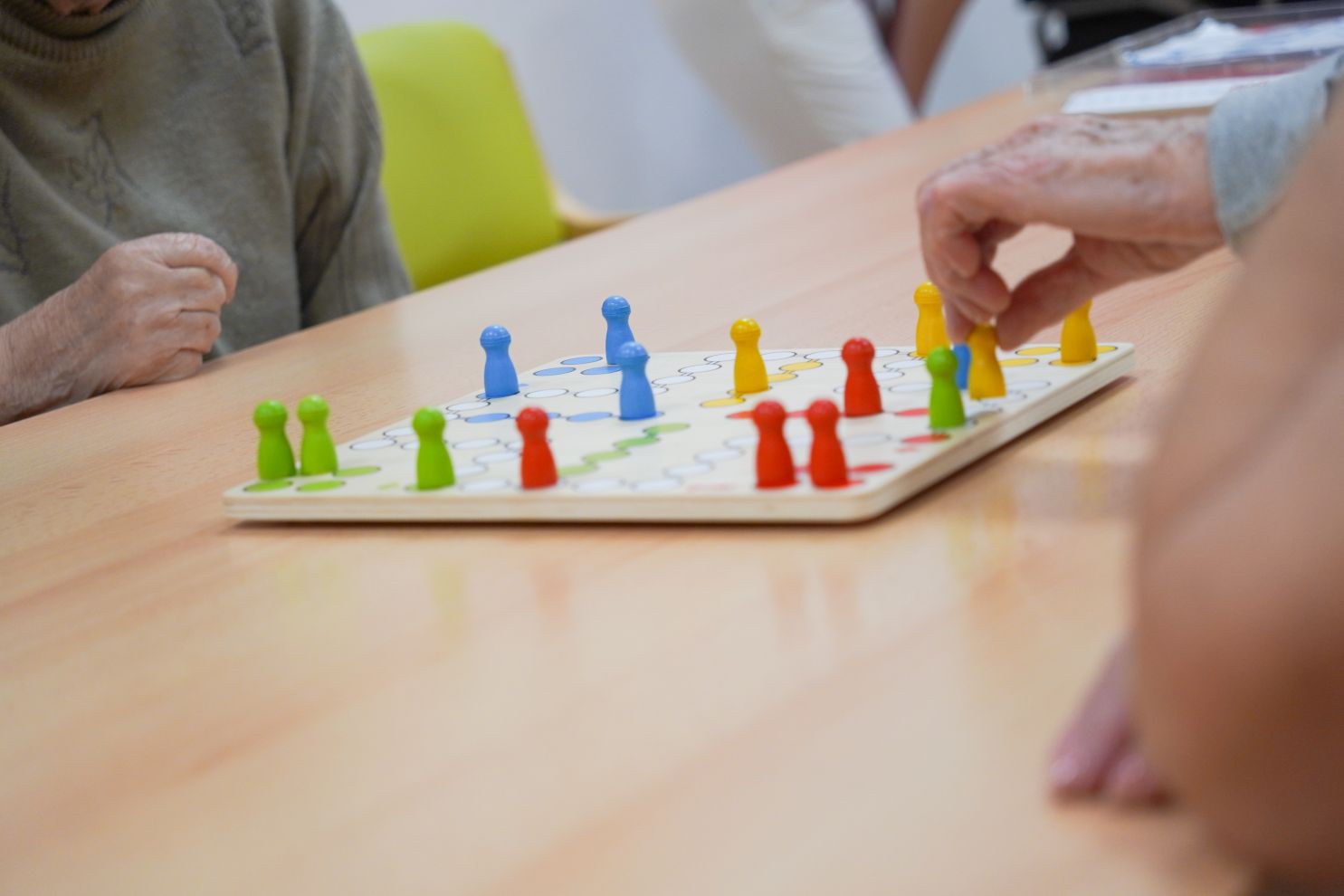 Volonteri Depadansa stari nemoćni demencija Alzheimer (2)