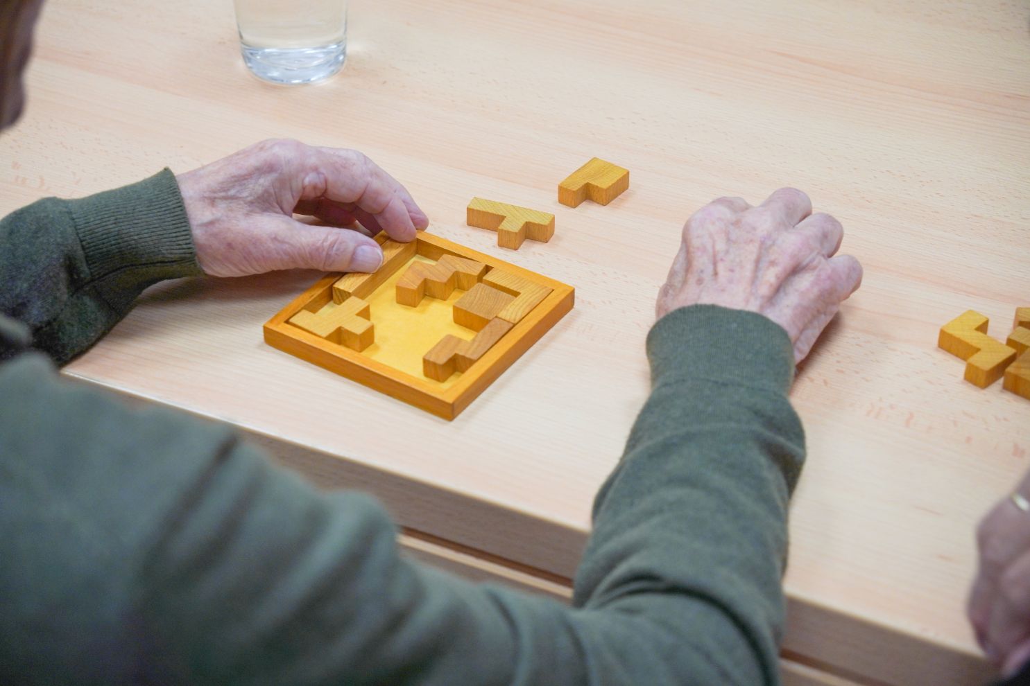 Volonteri Depadansa stari nemoćni demencija Alzheimer (24)