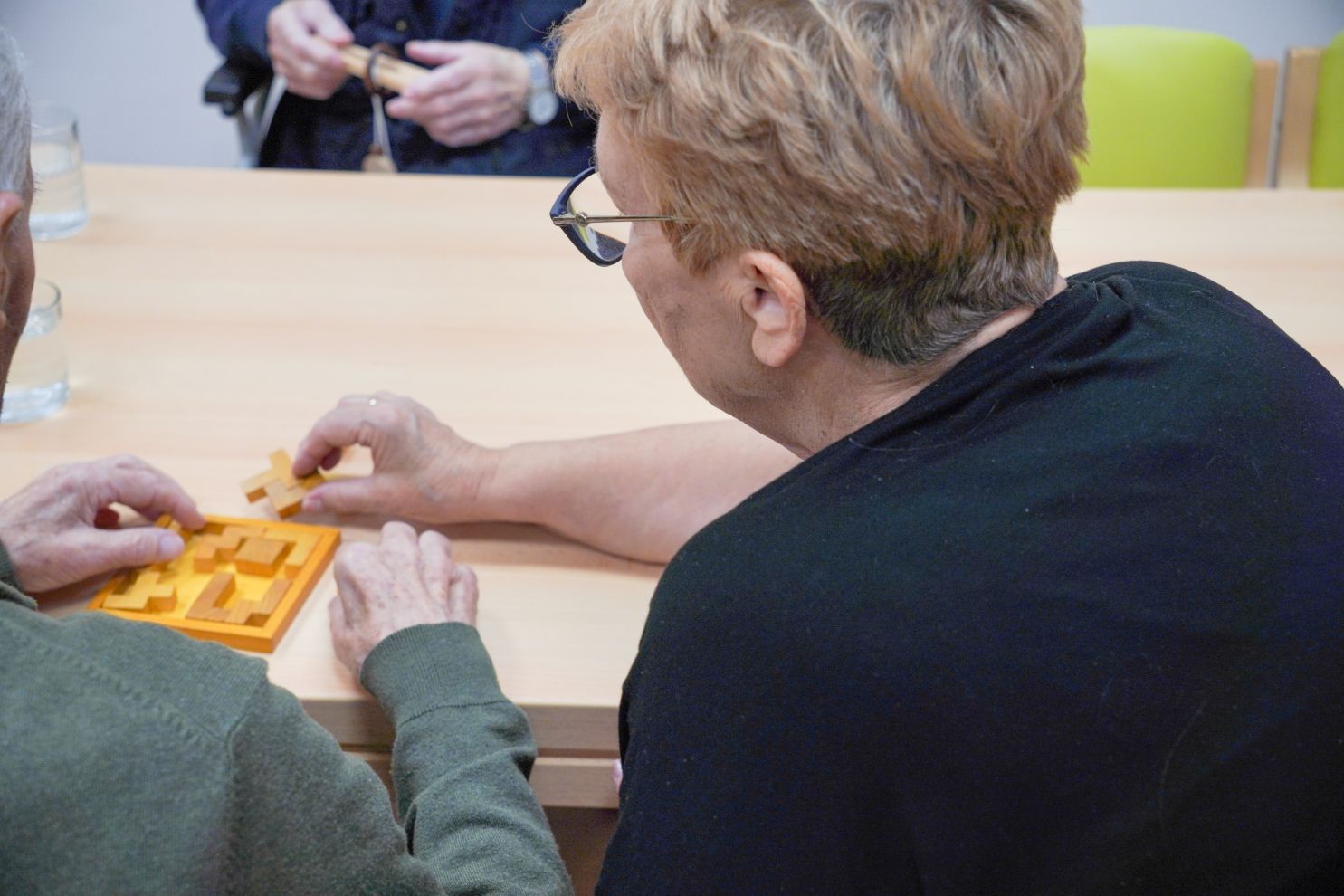 Volonteri Depadansa stari nemoćni demencija Alzheimer (25)