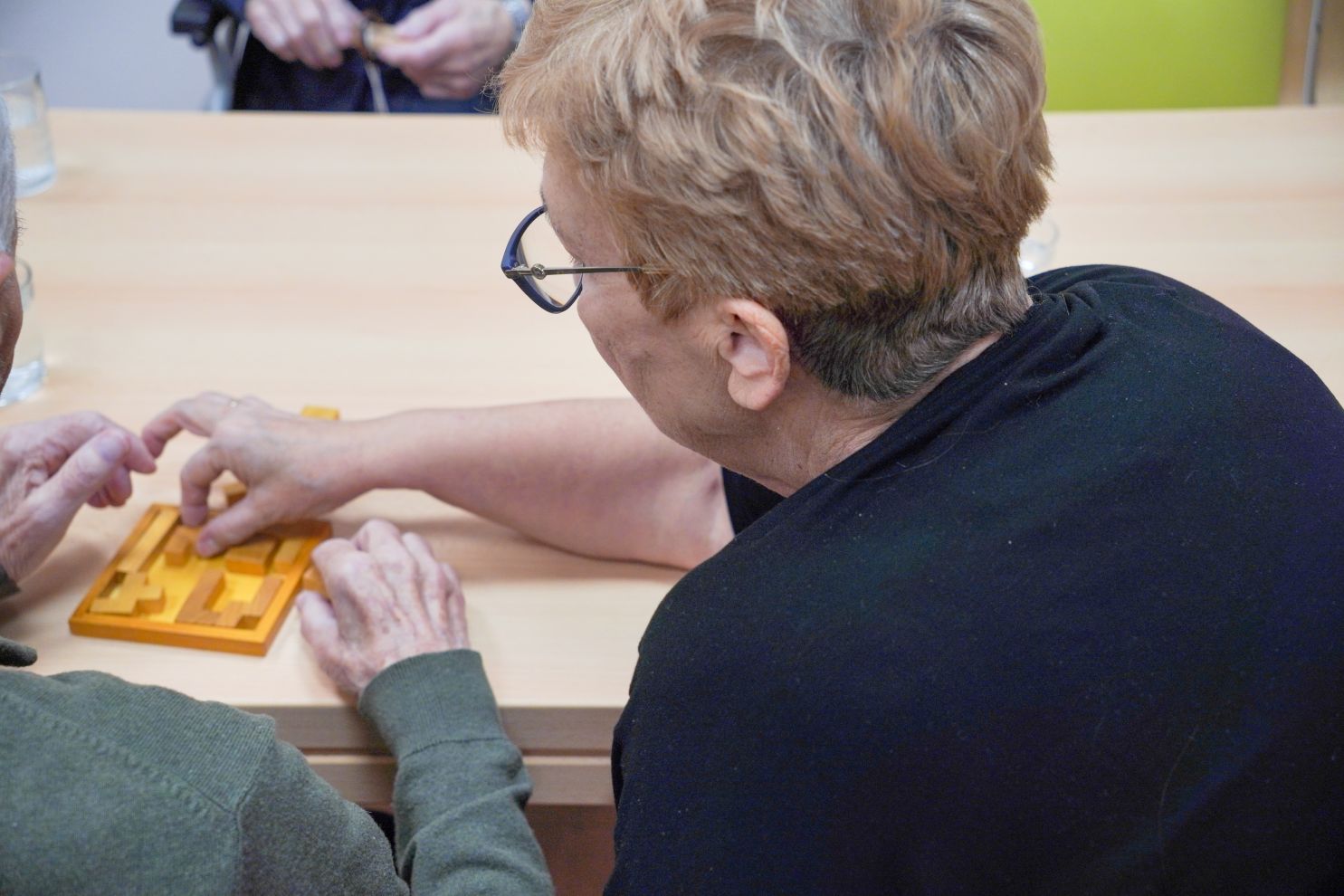 Volonteri Depadansa stari nemoćni demencija Alzheimer (26)