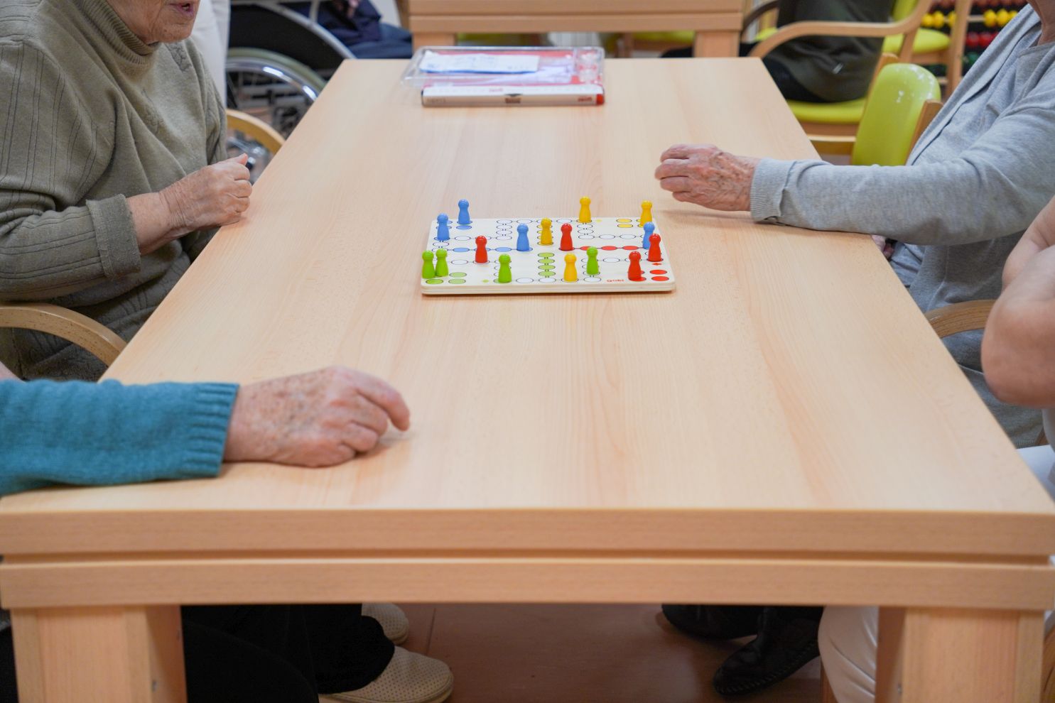 Volonteri Depadansa stari nemoćni demencija Alzheimer (4)