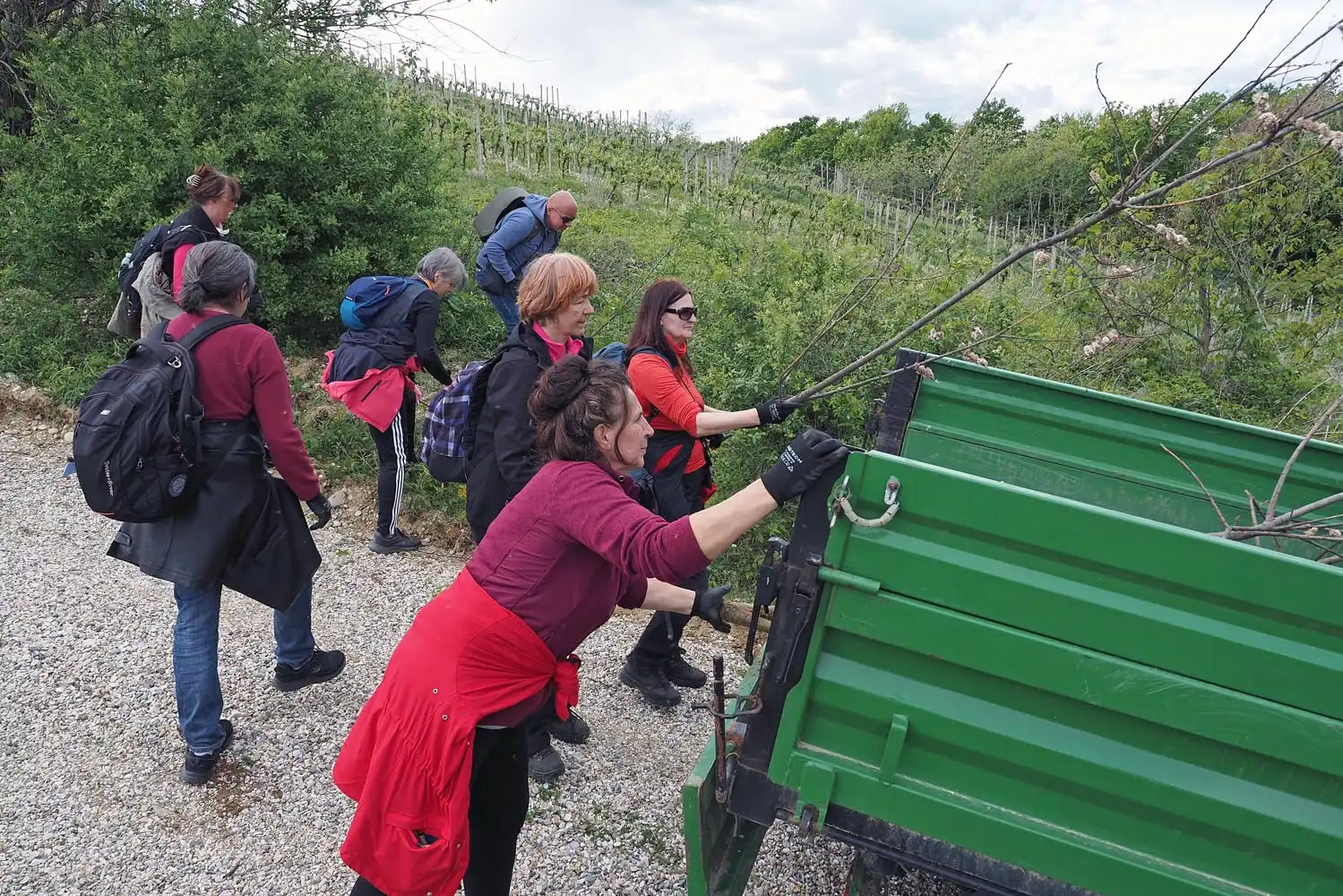 Volonteri Strigova (2)