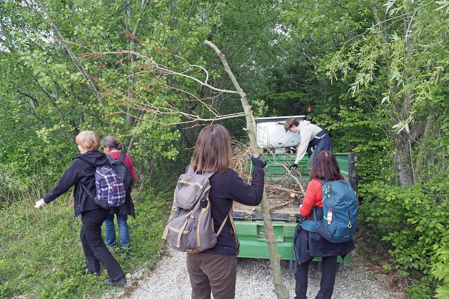 Volonteri Strigova (4)