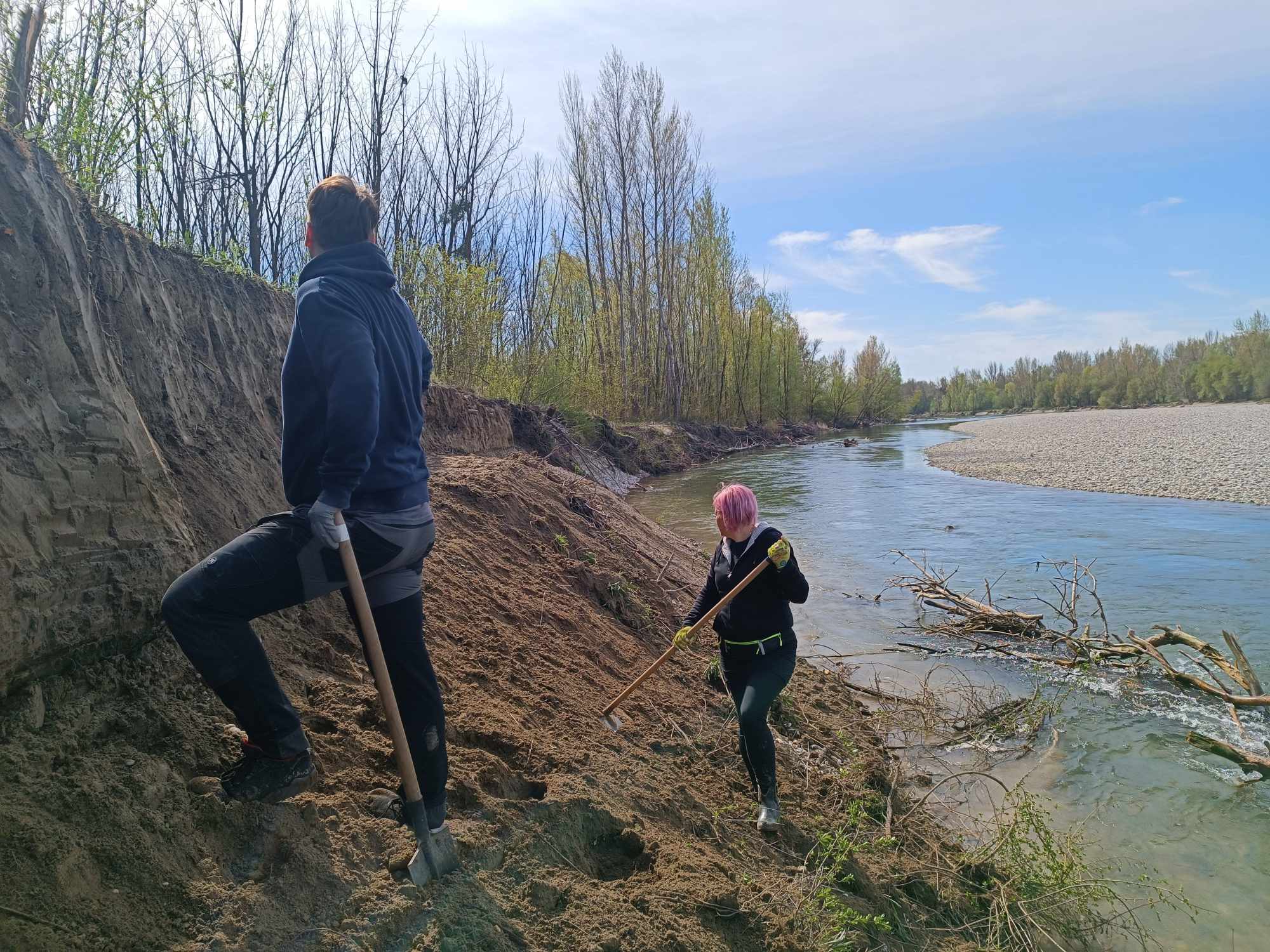 Volonteri čistili obale Drave za najmanju europsku lastavicu (12) Volonteri čistili obale Drave za najmanju europsku lastavicu (12)