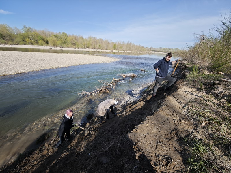 Volonteri čistili obale Drave za najmanju europsku lastavicu (15) Volonteri čistili obale Drave za najmanju europsku lastavicu (15)