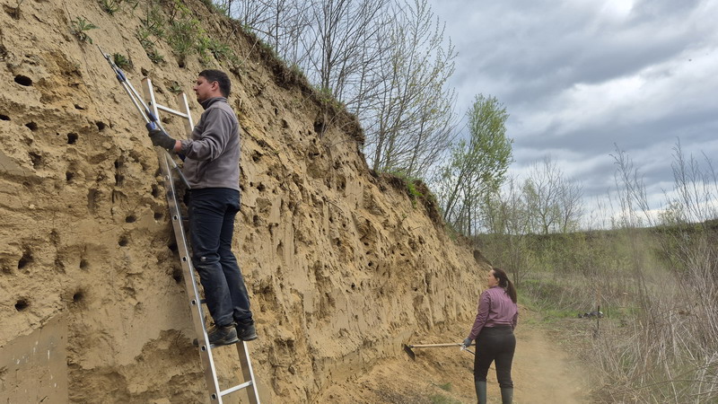 Volonteri čistili obale Drave za najmanju europsku lastavicu (7) Volonteri čistili obale Drave za najmanju europsku lastavicu (7)