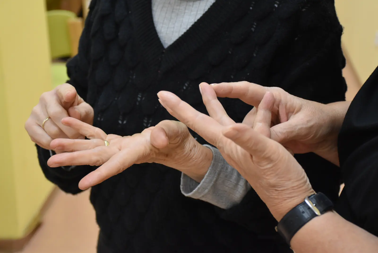 Volontiranje, dom za starije, umirovljenici (8) Volontiranje, dom za starije, umirovljenici (8)