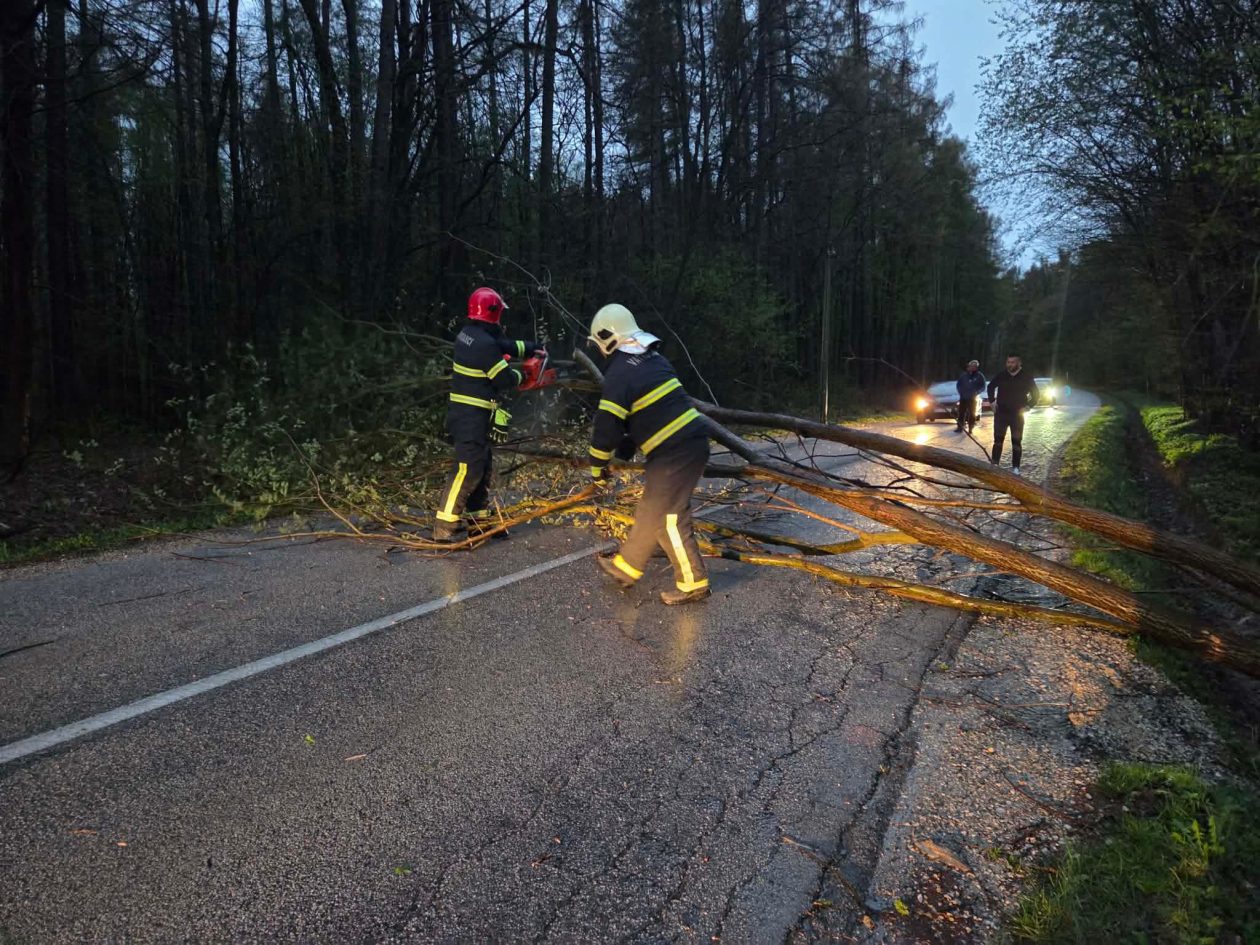 Vratišinec srušeno drvo internet telefon (2) Vratišinec srušeno drvo internet telefon (2)