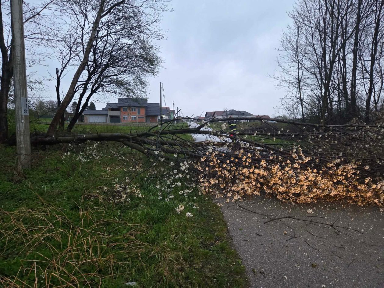 Vratišinec srušeno drvo internet telefon (4) Vratišinec srušeno drvo internet telefon (4)