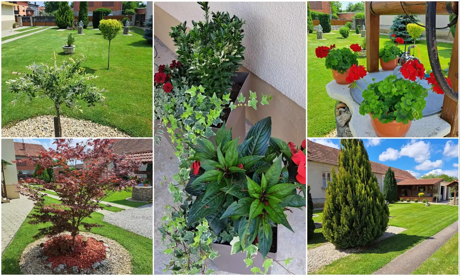 Vrt Mirjane Ivković Donji Hrašćan (16)