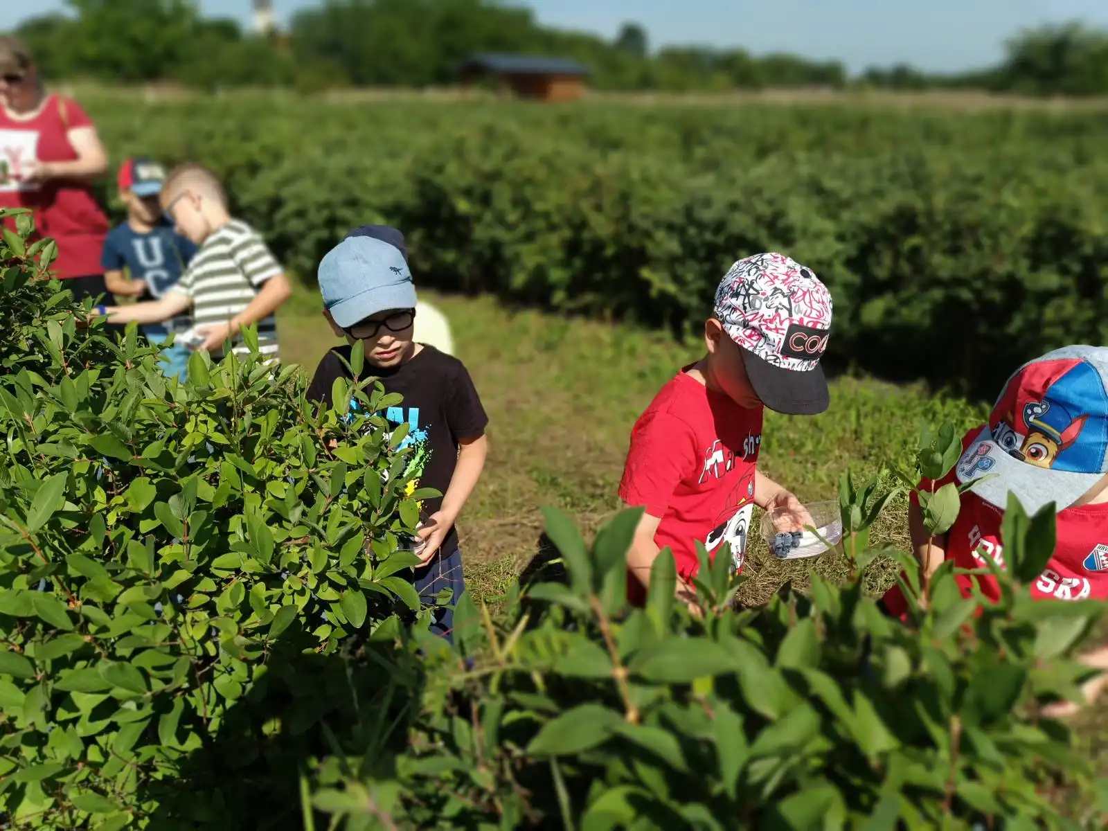 Vrtić Sveti Nikola Belica – OPG-u naše obitelji Hrustek (4) Vrtić Sveti Nikola Belica – OPG-u naše obitelji Hrustek (4)