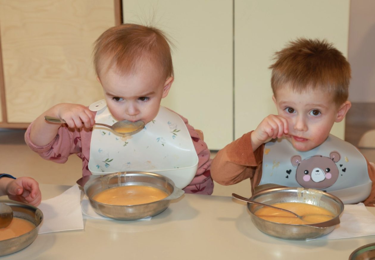 Vrtić Zvončić, POLastavica Dunjkovec (16) Vrtić Zvončić, POLastavica Dunjkovec (16)