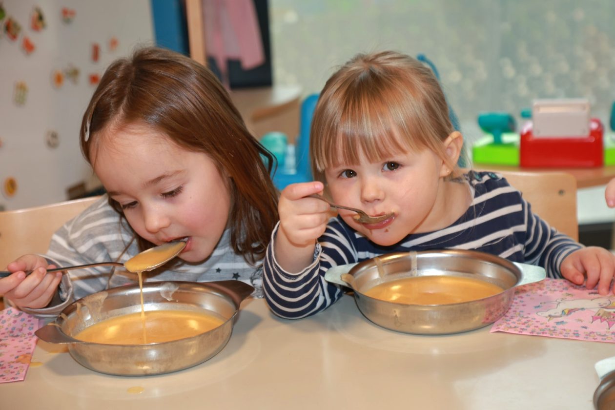 Vrtić Zvončić, POLastavica Dunjkovec (34) Vrtić Zvončić, POLastavica Dunjkovec (34)