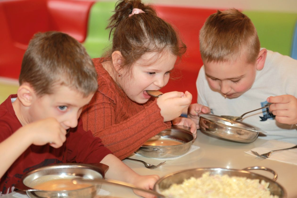 Vrtić Zvončić, POLastavica Dunjkovec (63) Vrtić Zvončić, POLastavica Dunjkovec (63)