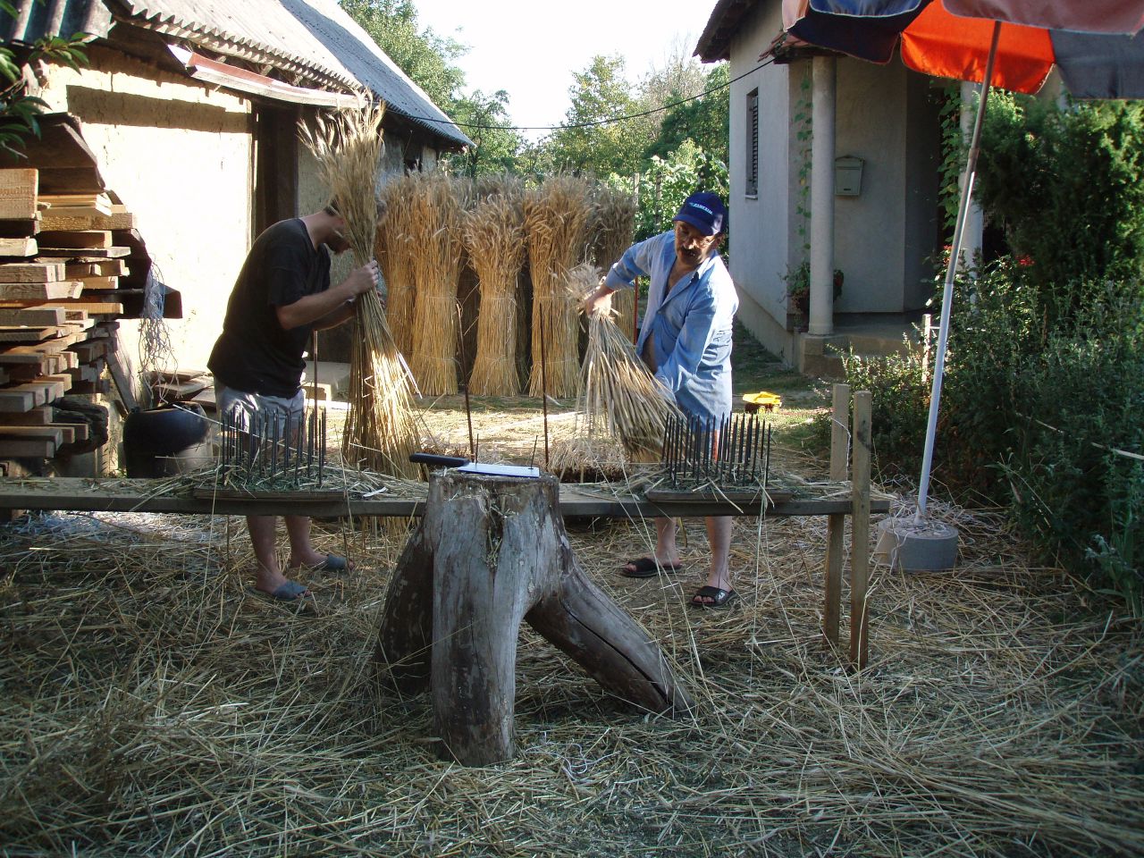 OLYMPUS DIGITAL CAMERA OLYMPUS DIGITAL CAMERA