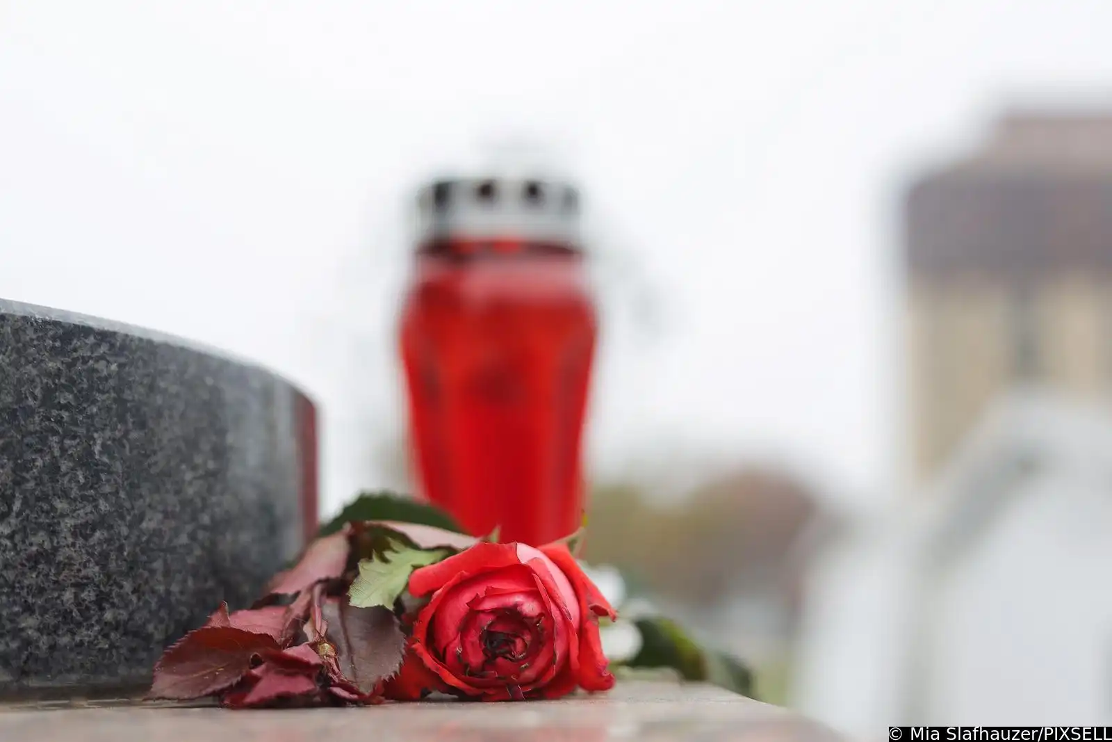 Vukovar – kolona sjećanja (2) Vukovar – kolona sjećanja (2)