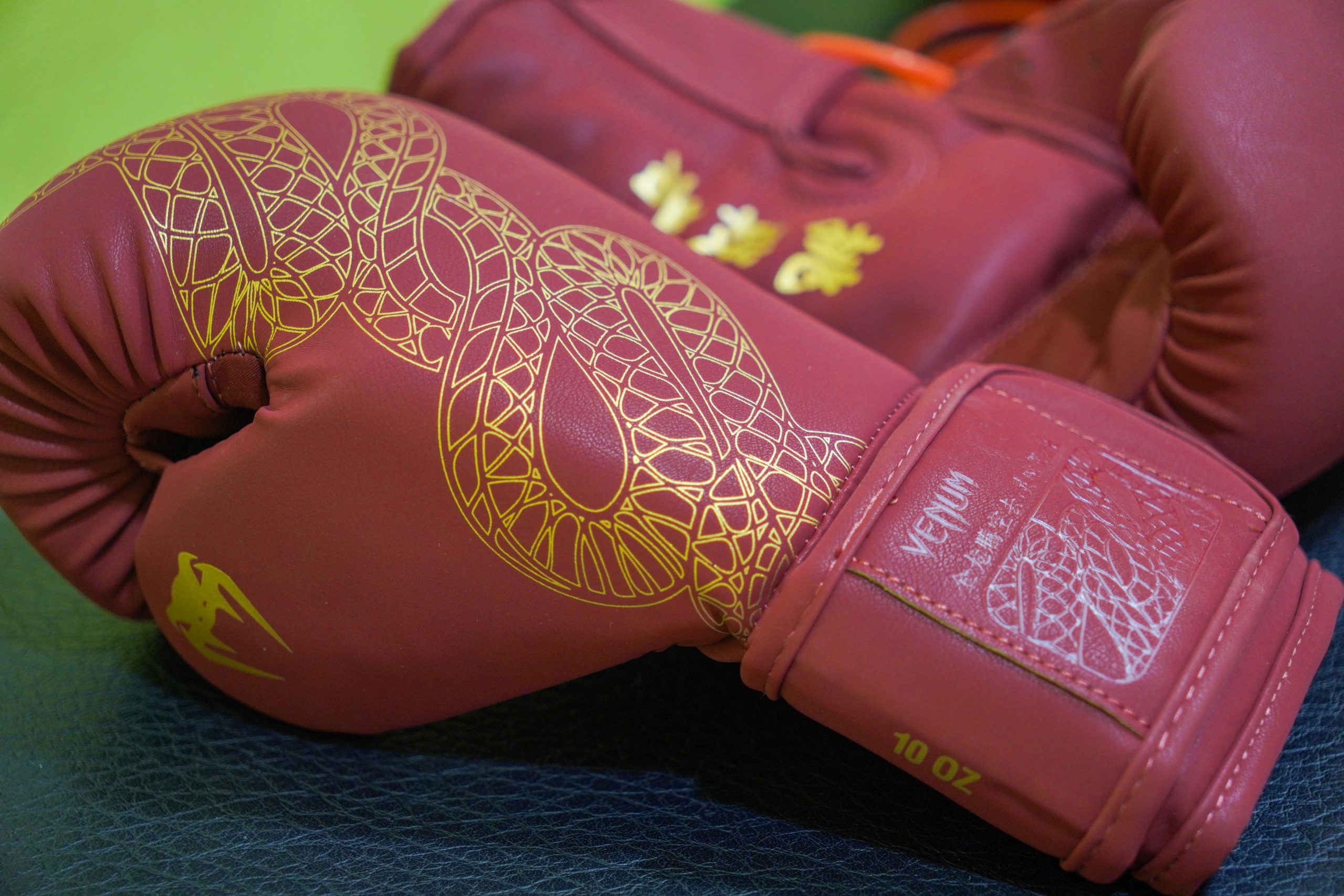 Werner Habuš savate boks kickboxing klub 300 (7)