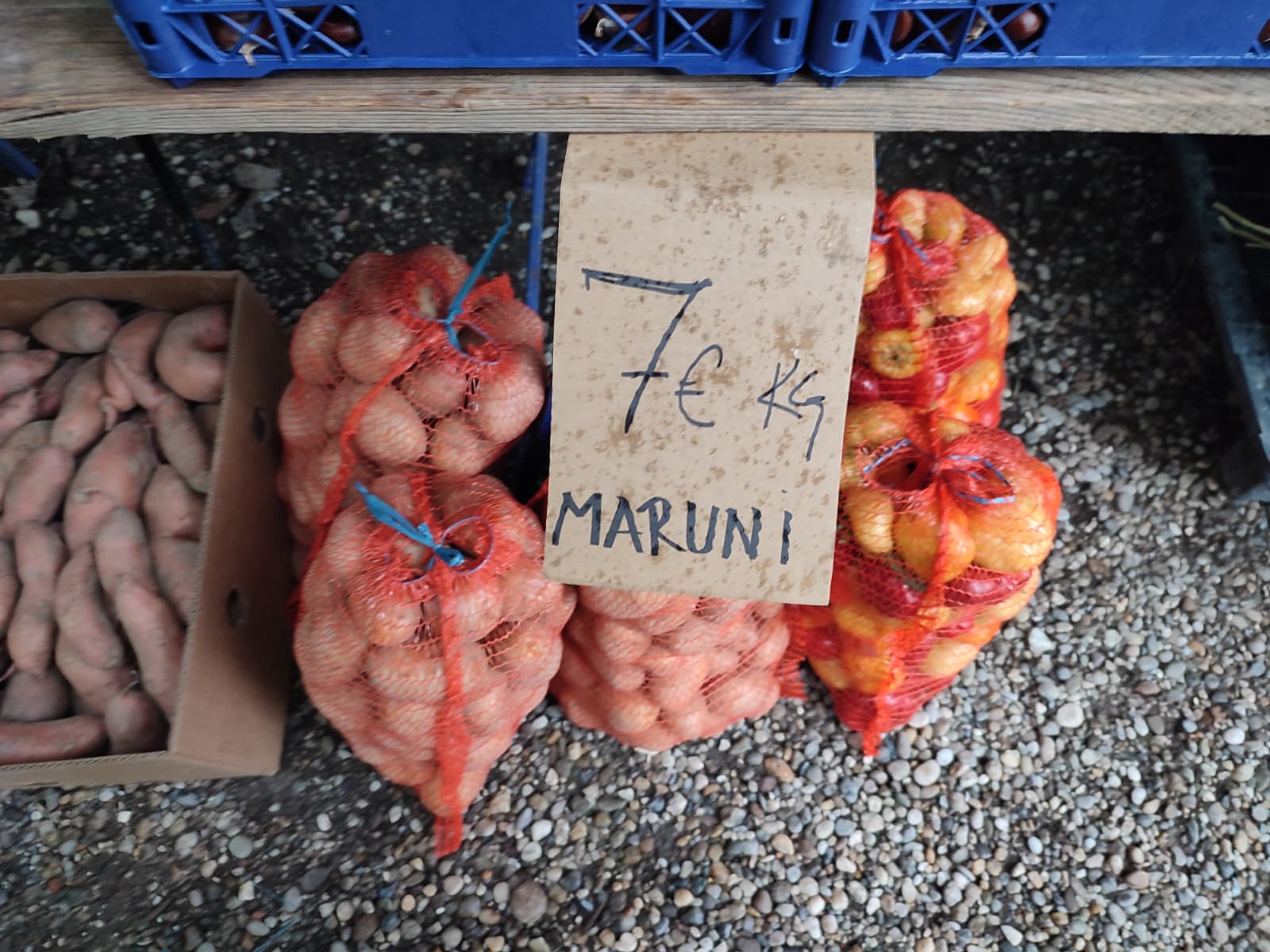 Sajam srijedom 24.9.2025.