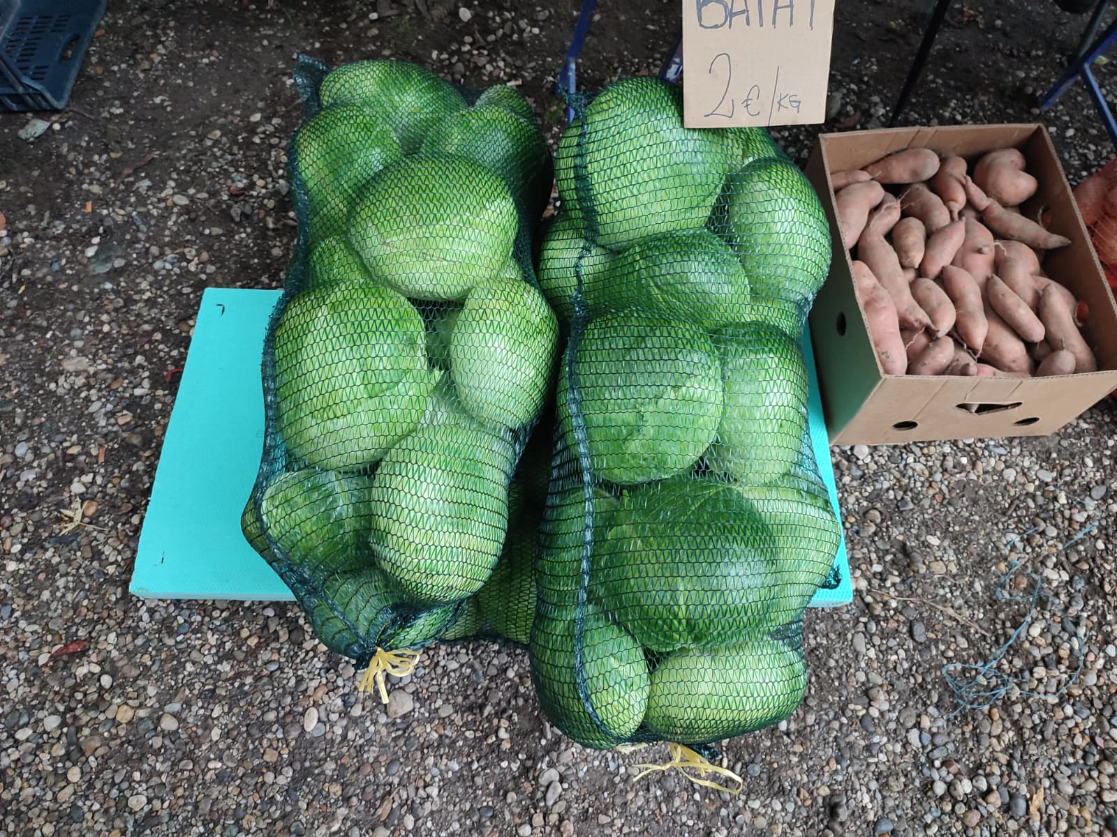 Sajam srijedom 24.9.2025.