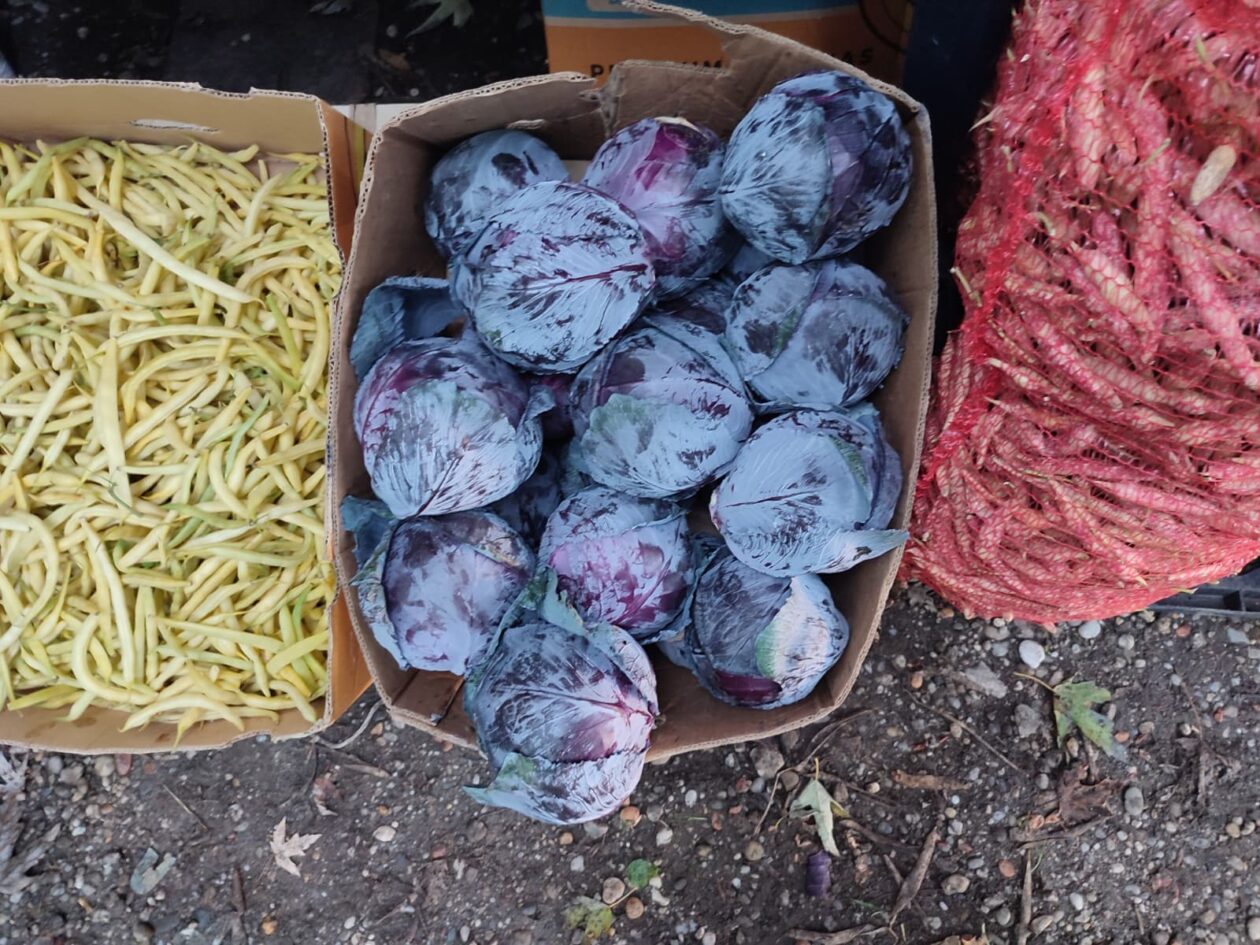 Sajam srijedom 24.9.2025.