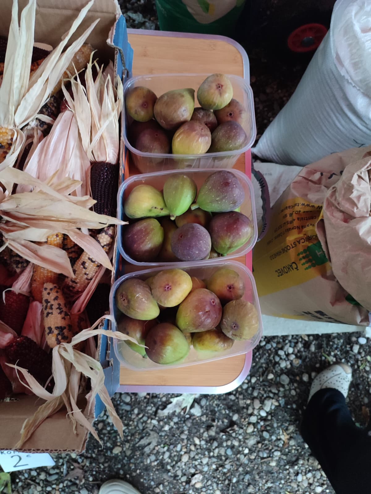 Sajam srijedom 24.9.2025.