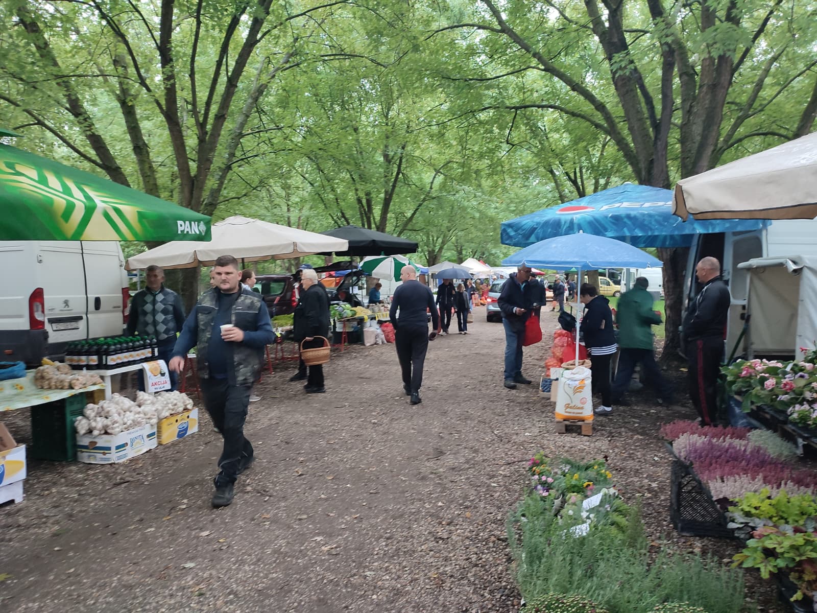 Sajam srijedom 24.9.2025.