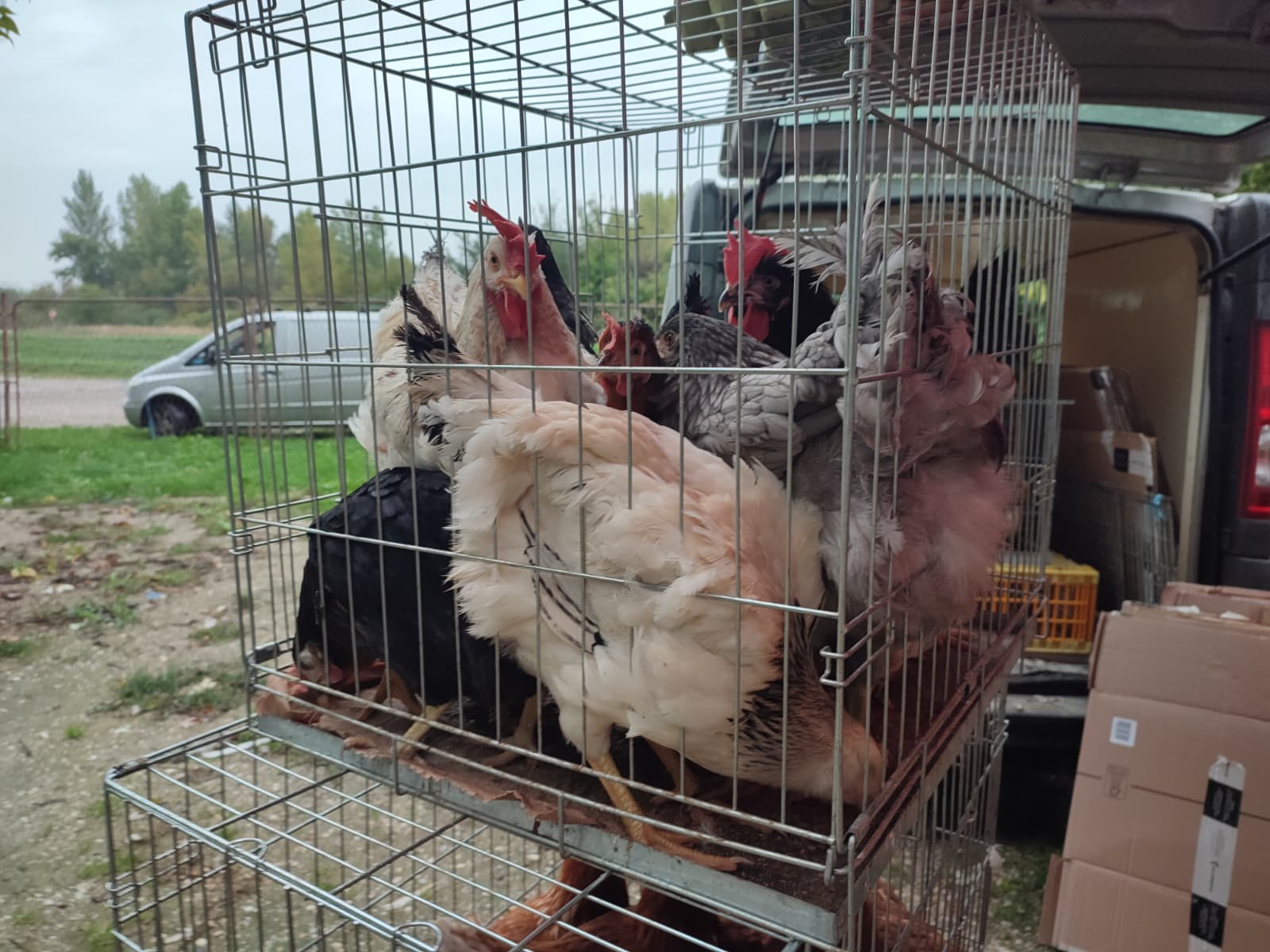 Sajam srijedom 24.9.2025.