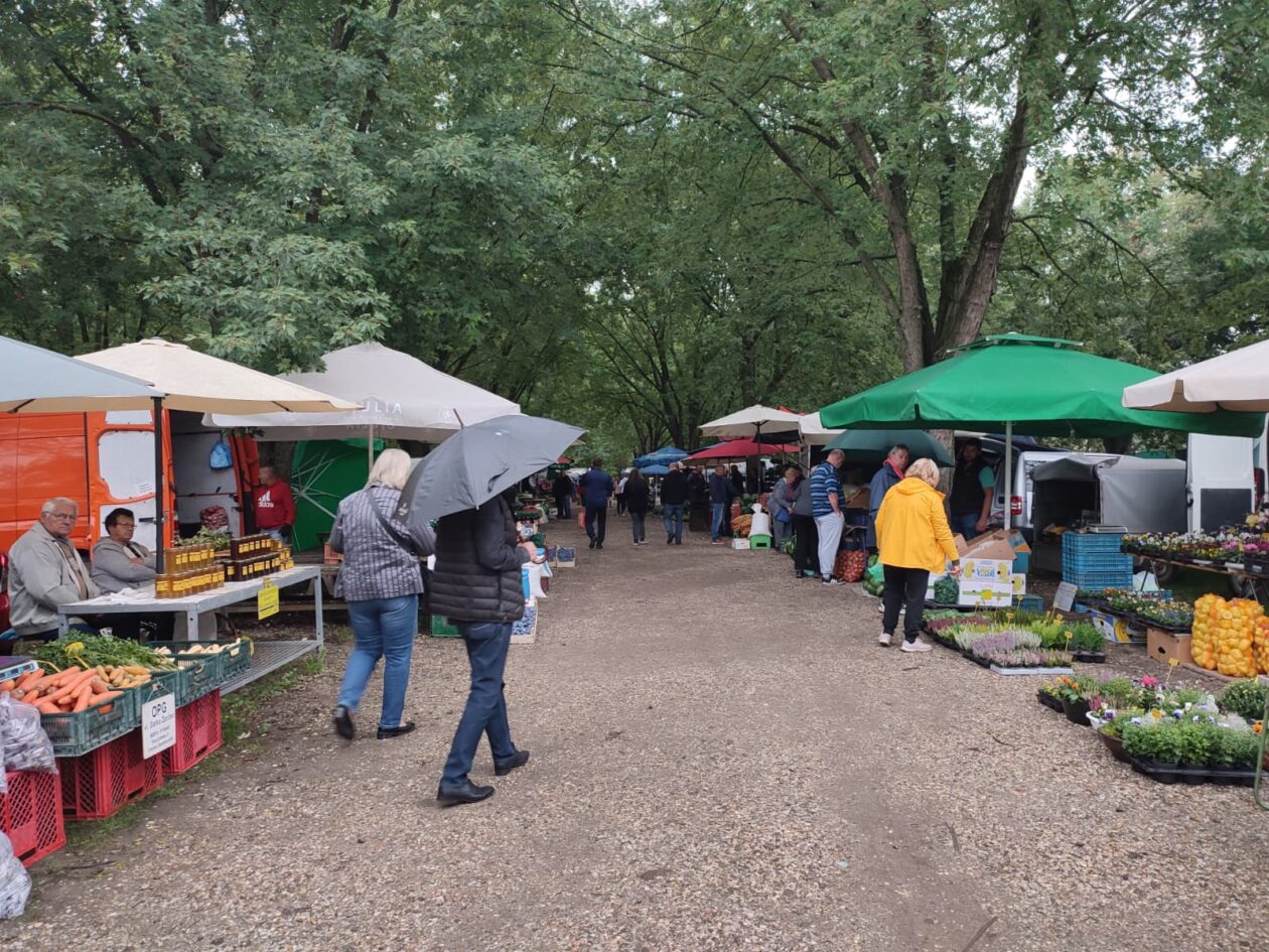 Sajam srijedom 24.9.2025.