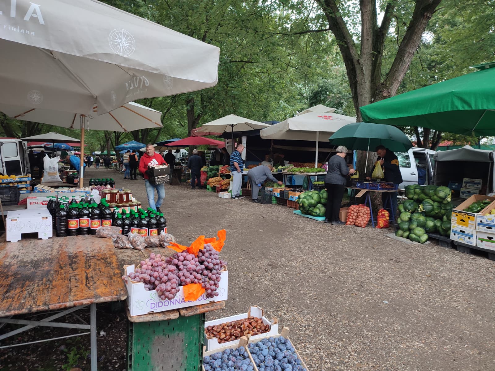 Sajam srijedom 24.9.2025.