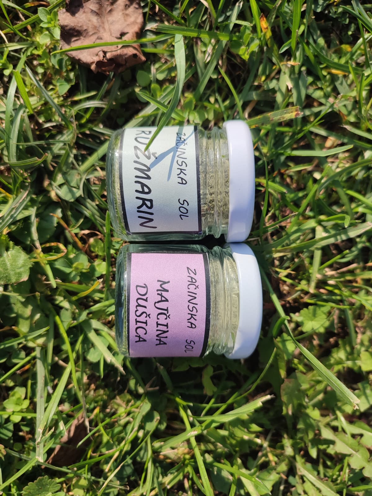 Učenička udruga Tinček