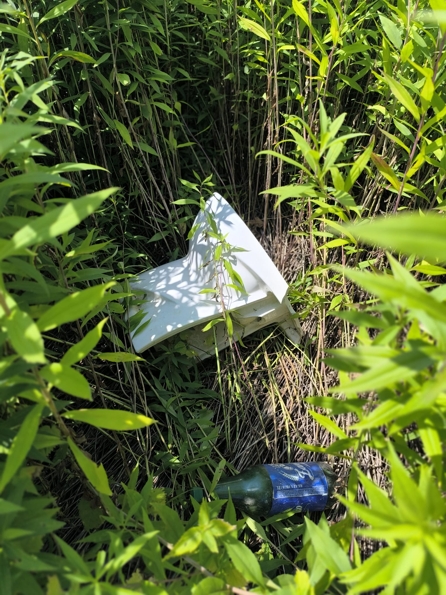 Smeće priroda Smeće priroda