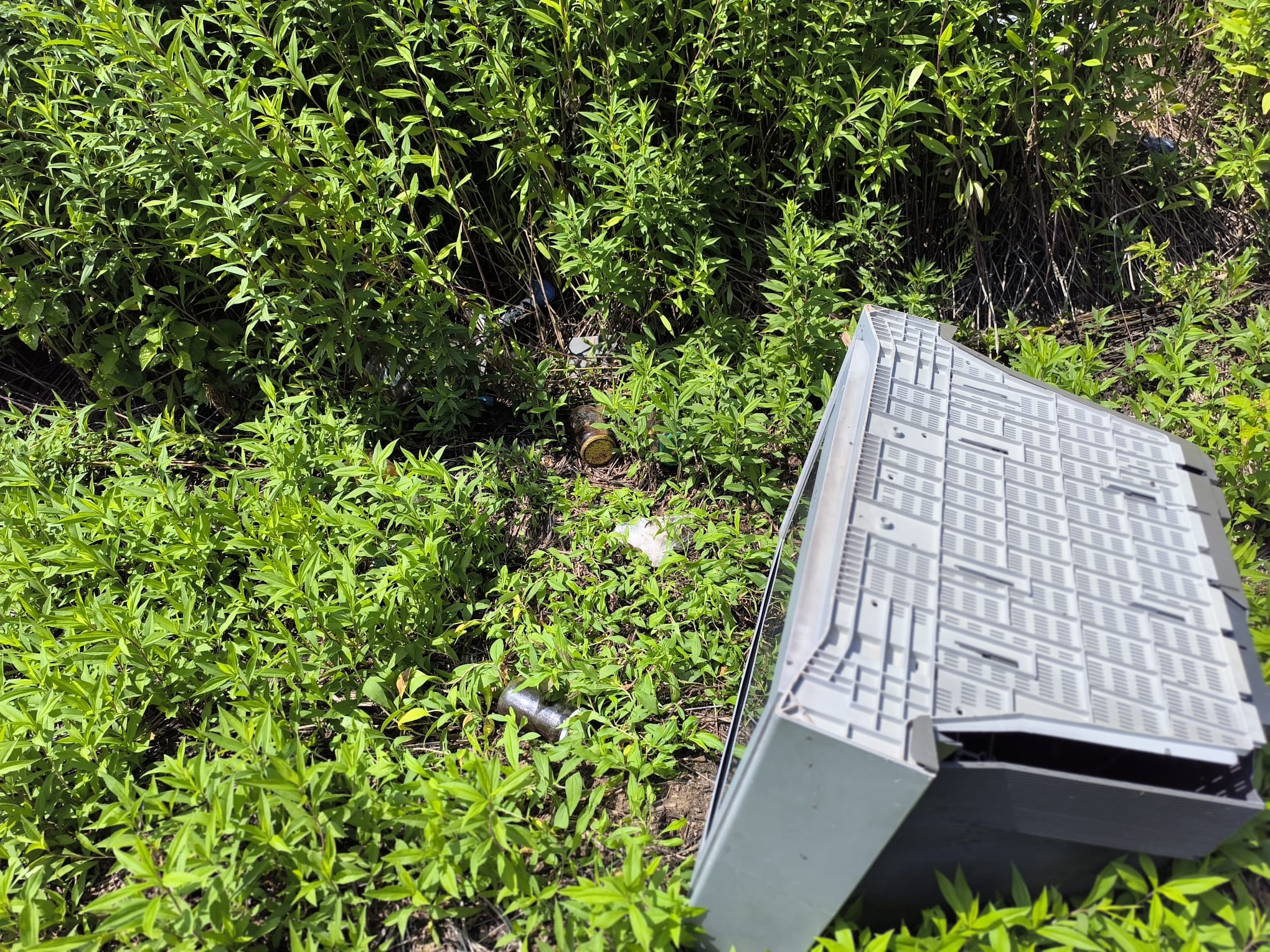 Smeće priroda Smeće priroda