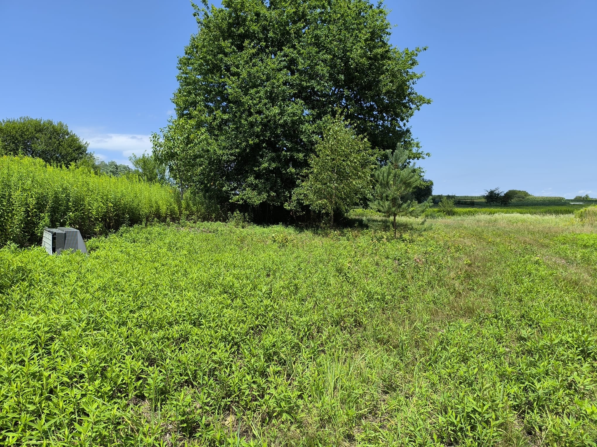 Smeće priroda Smeće priroda