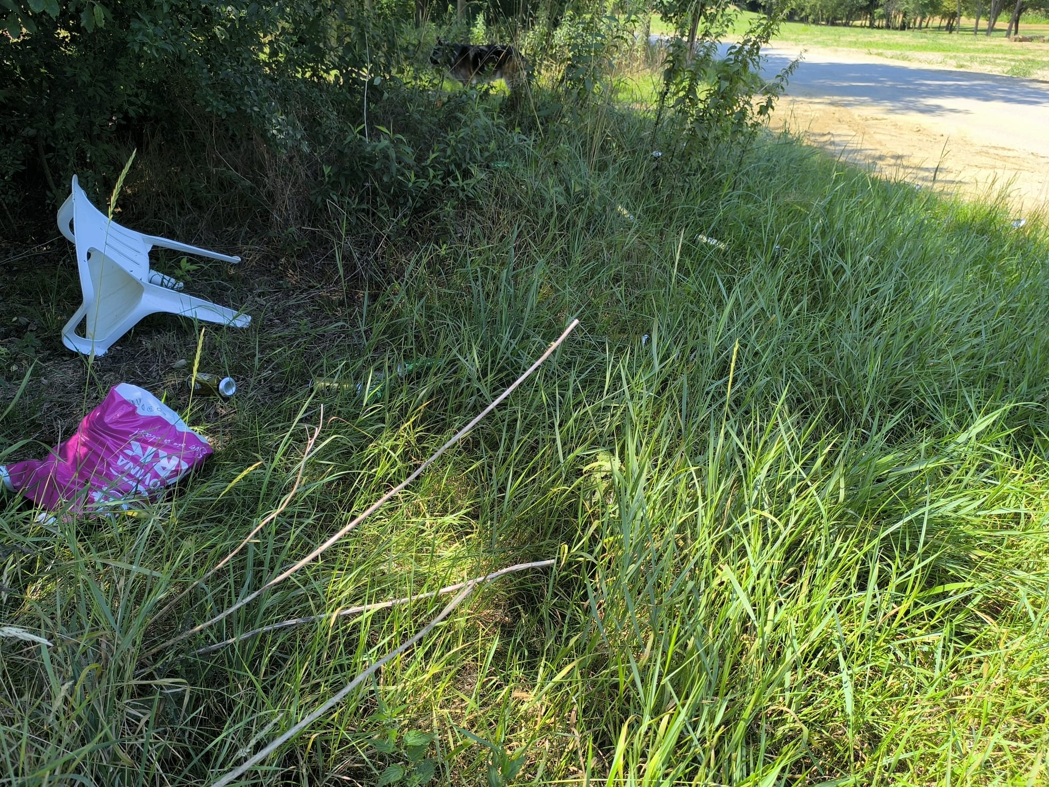 Smeće priroda Smeće priroda