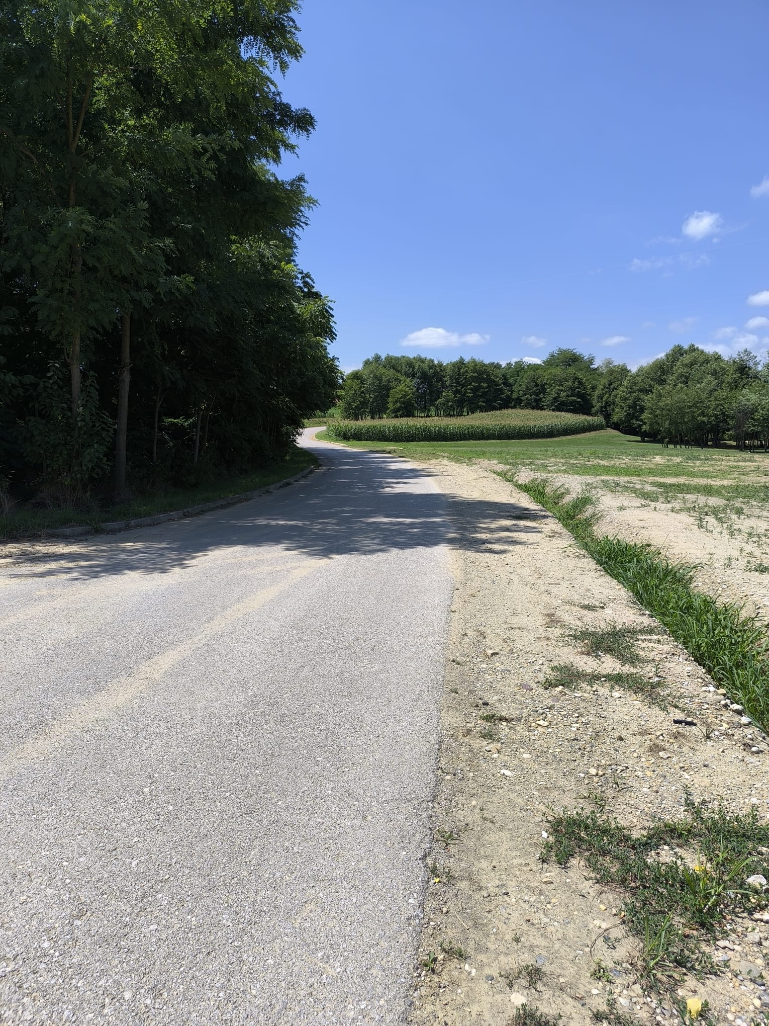 Smeće priroda Smeće priroda