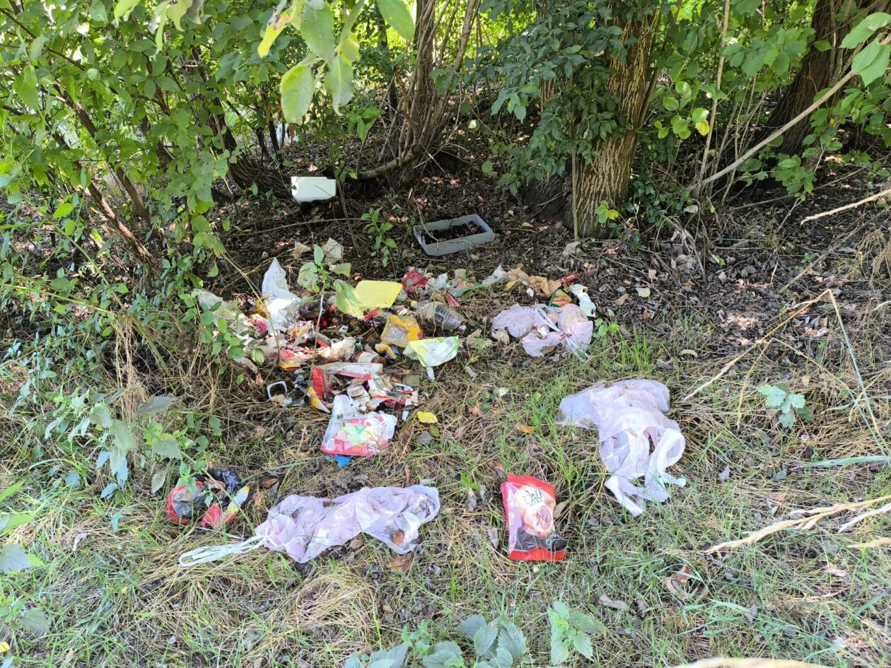 Smeće priroda Smeće priroda