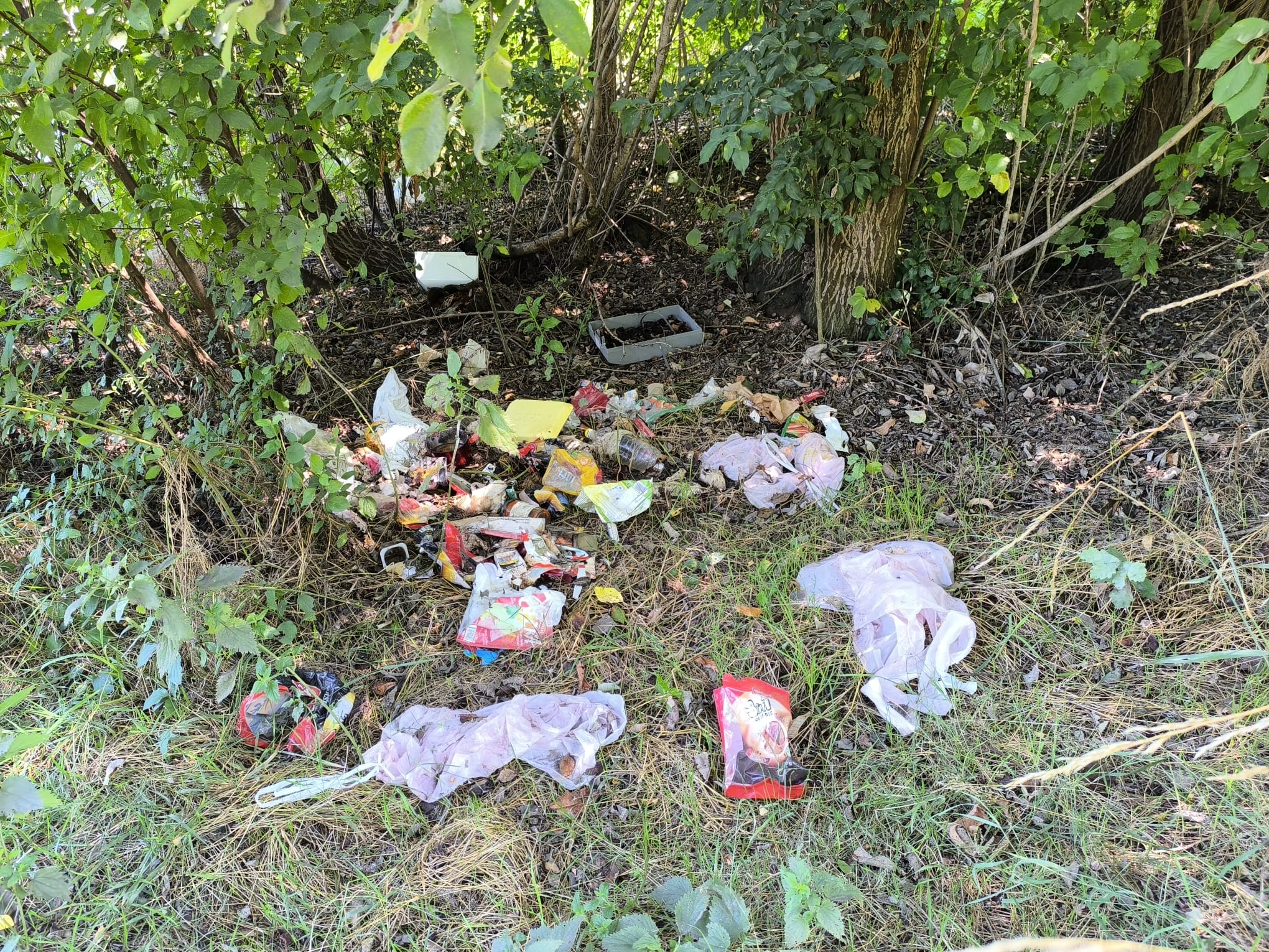 Smeće priroda Smeće priroda