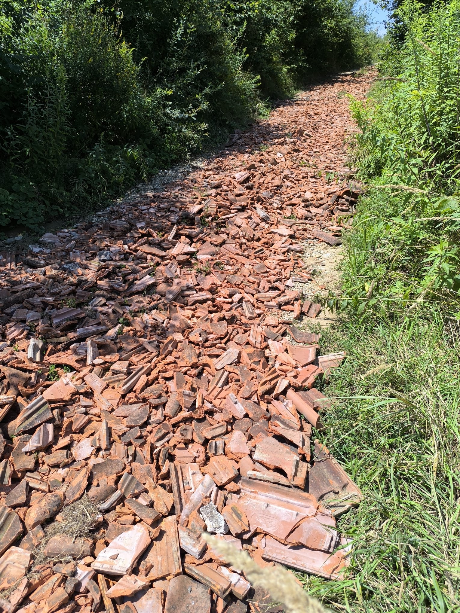 Smeće priroda Smeće priroda