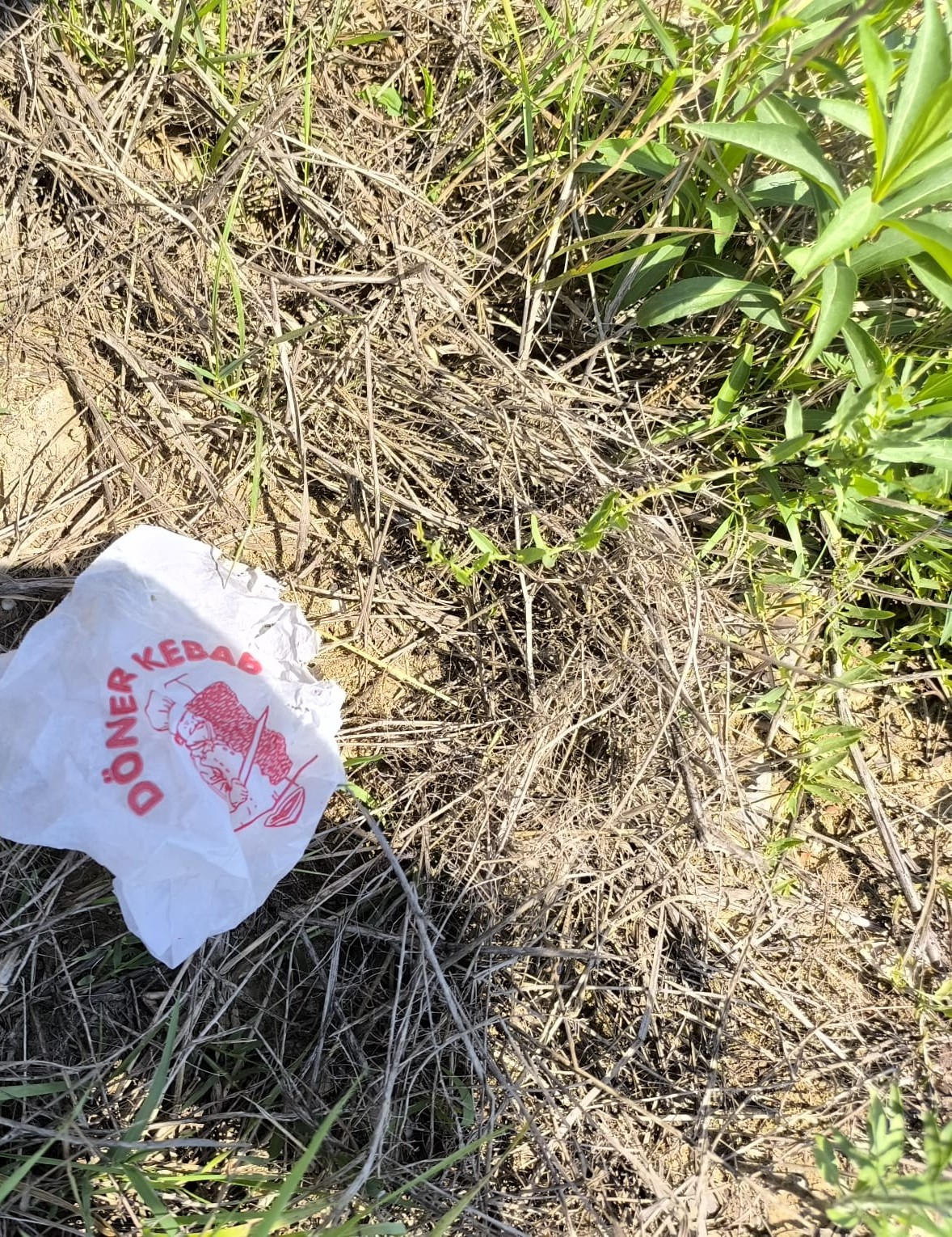 Smeće priroda Smeće priroda