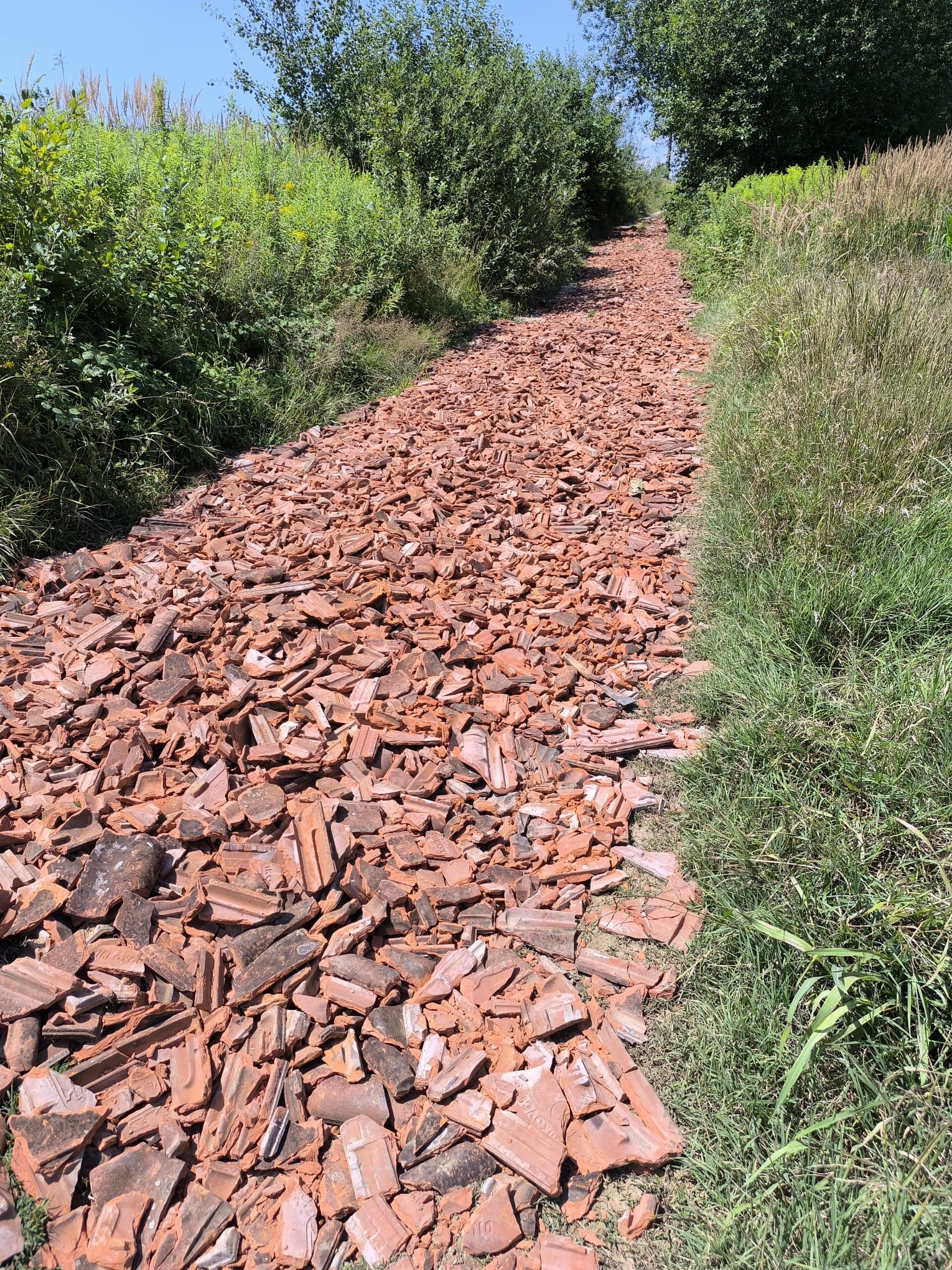 Smeće priroda Smeće priroda