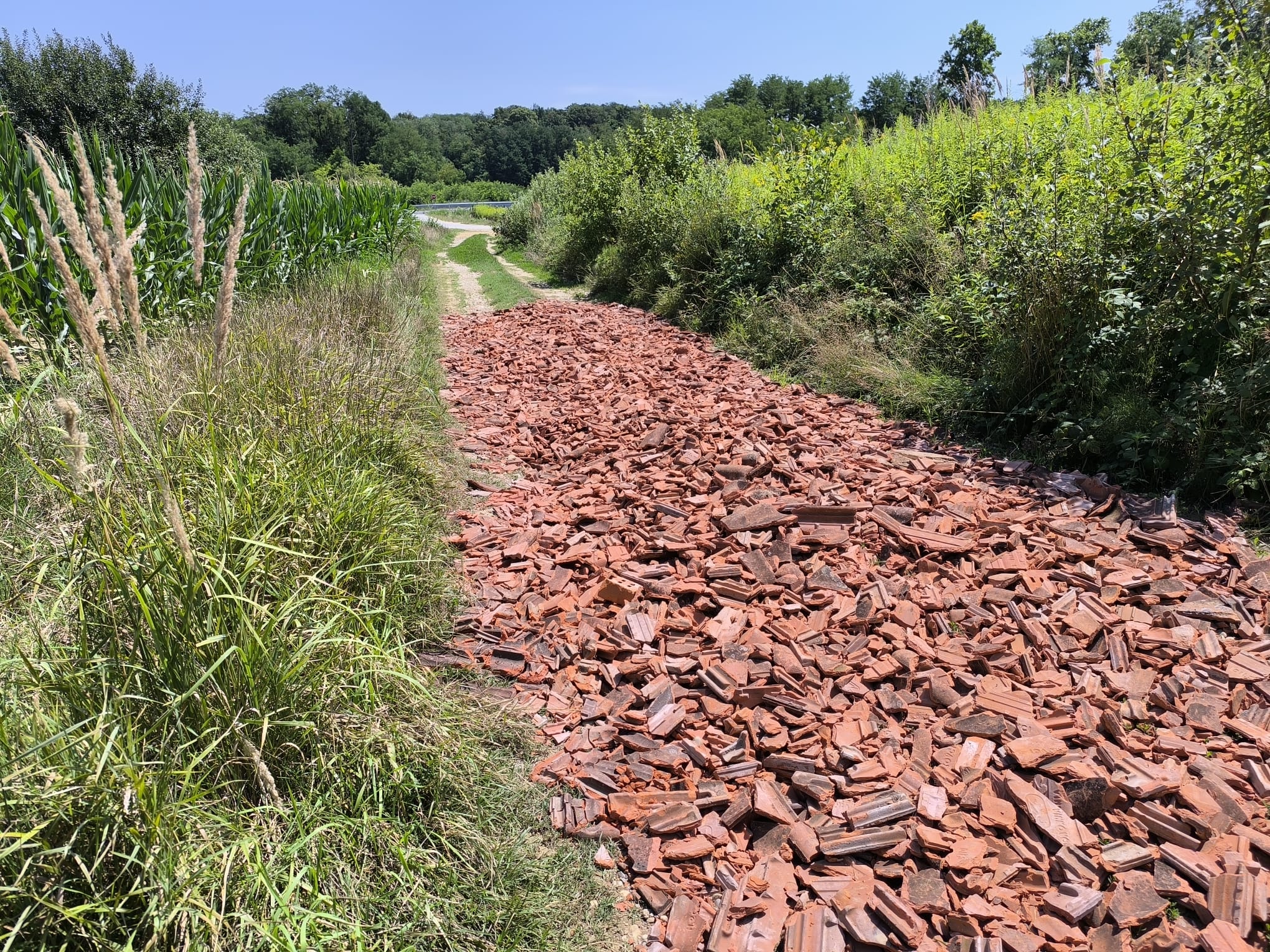 Smeće priroda Smeće priroda