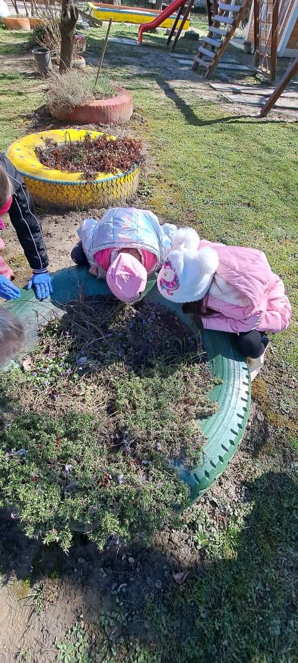 ZELENA AVANTURA Djeca iz Stonoge uređuju vrtićki okoliš (1)
